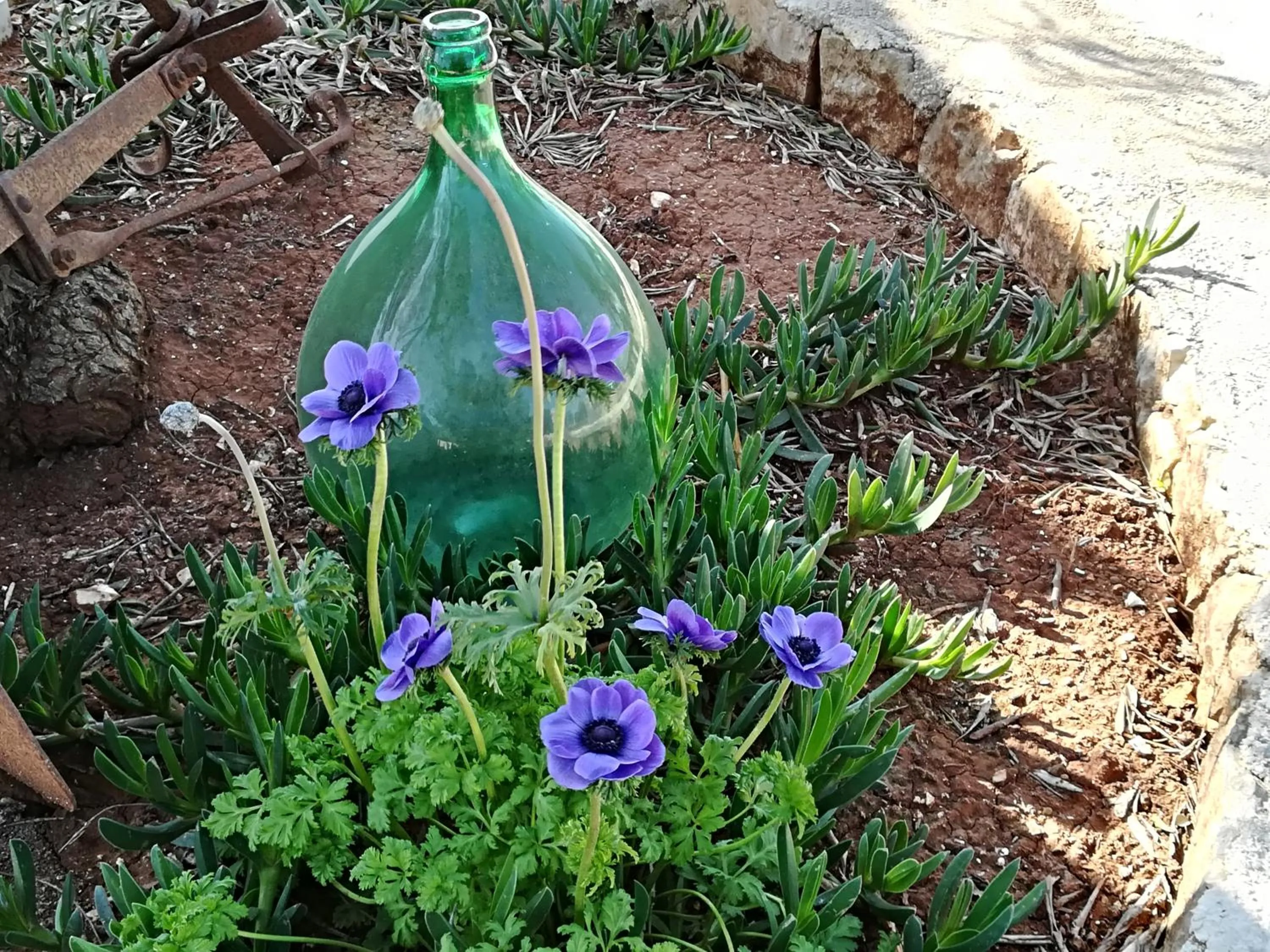 Garden in B&B Demetra