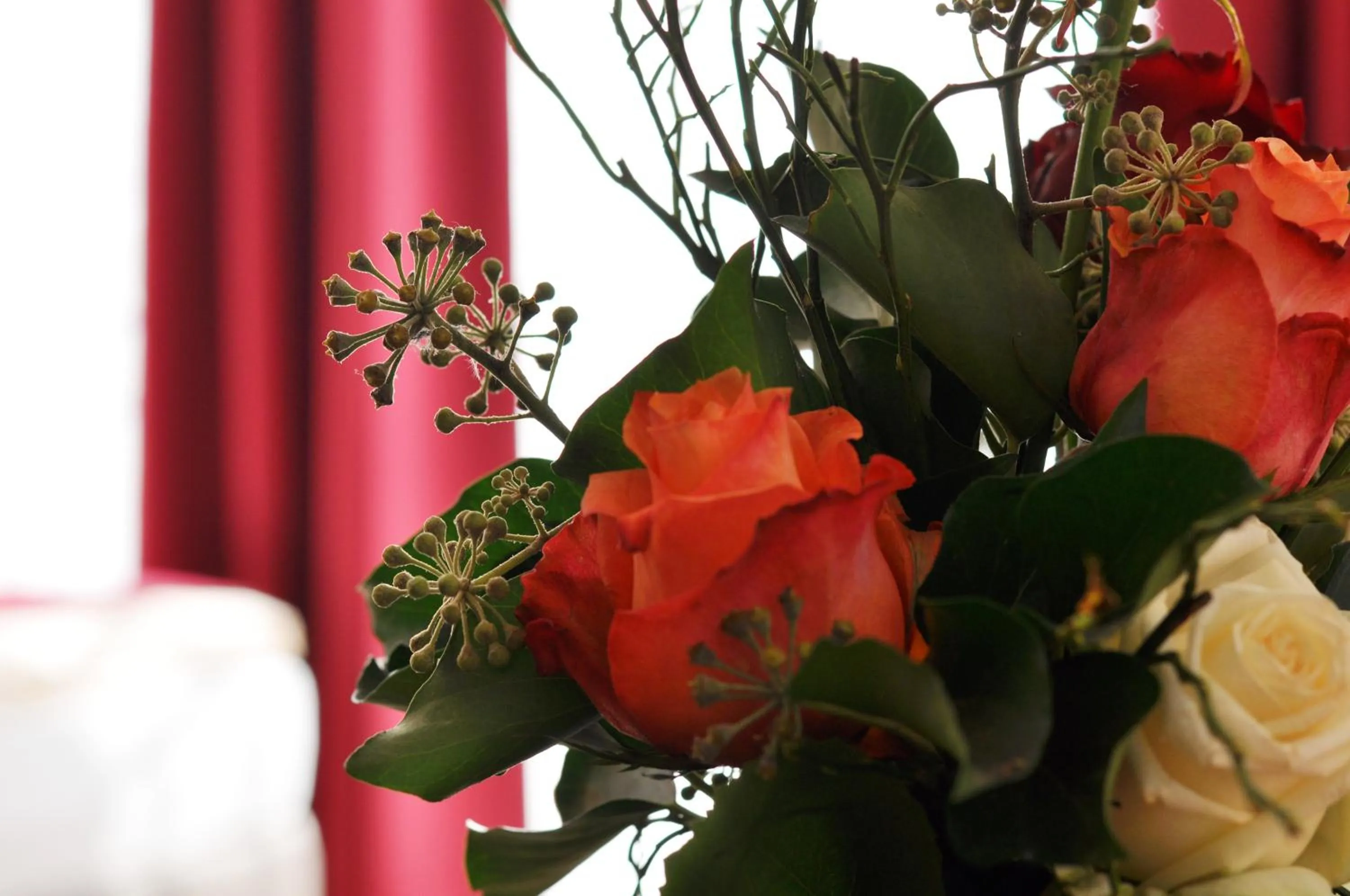 Other in Garni Hotel Alber