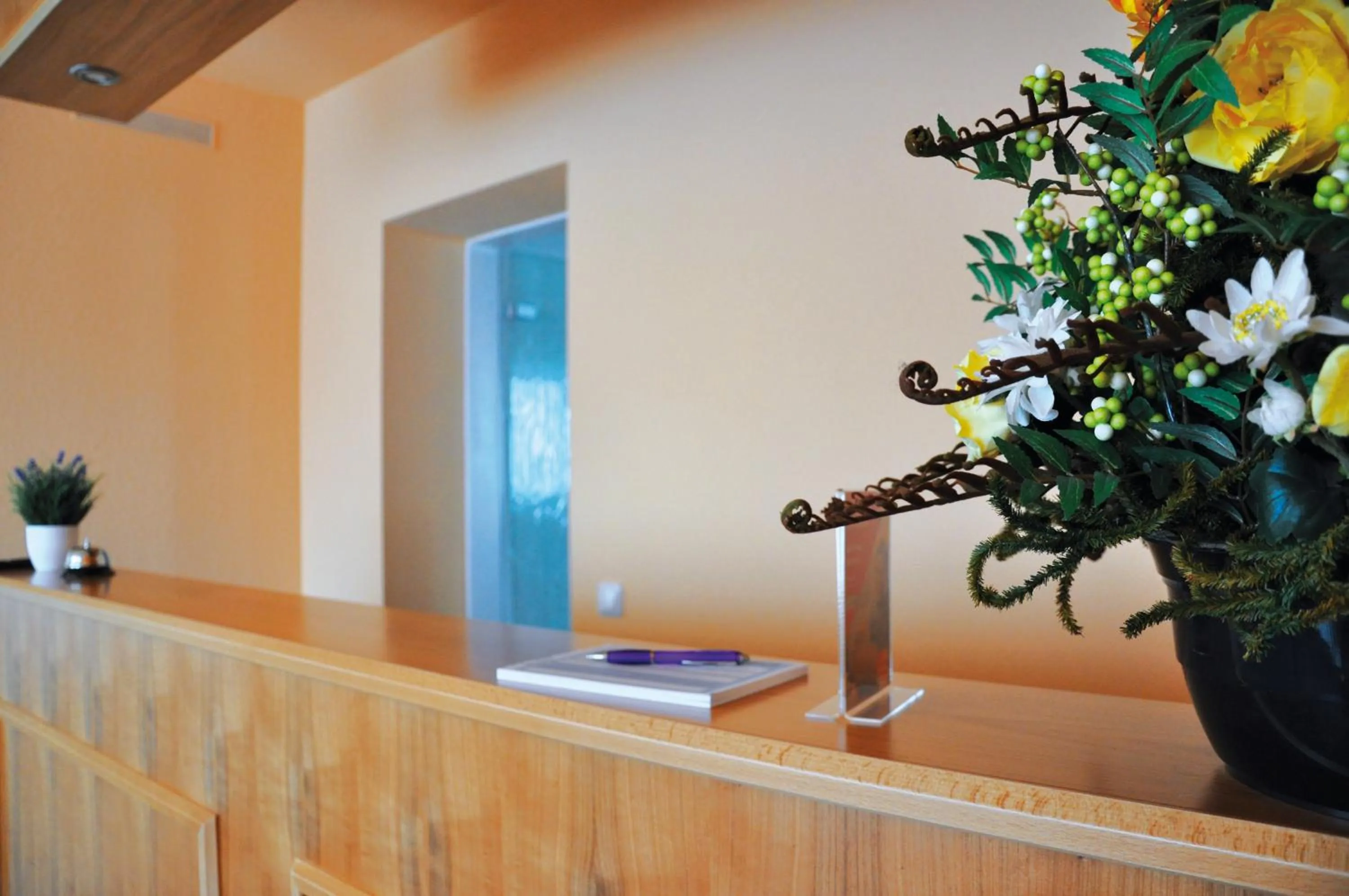 Lobby or reception in Garni Hotel Alber