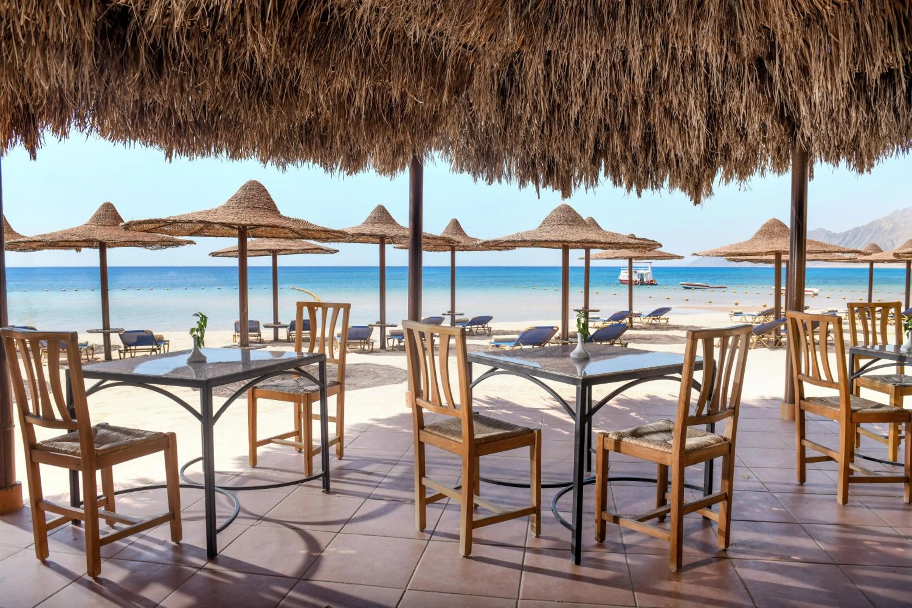 Restaurant/places to eat in JAZ Dahabeya