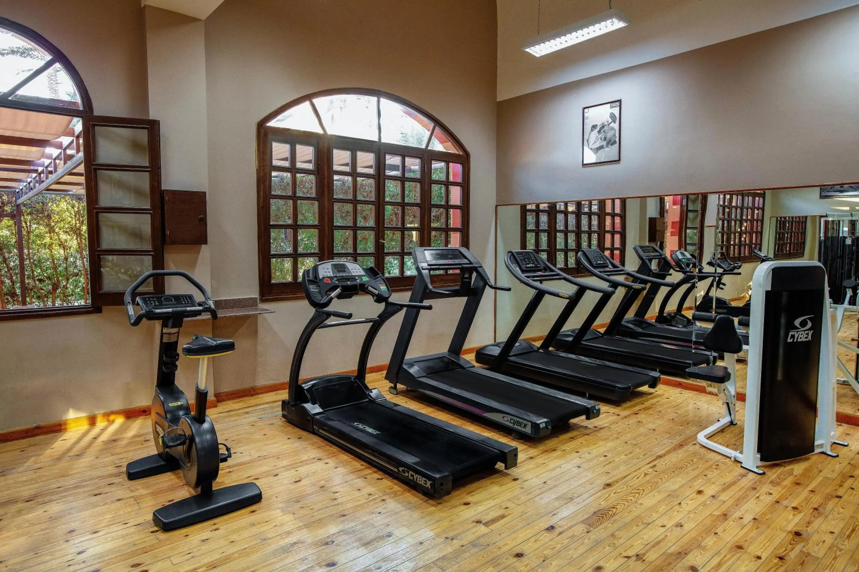 Activities in JAZ Makadi Oasis Resort