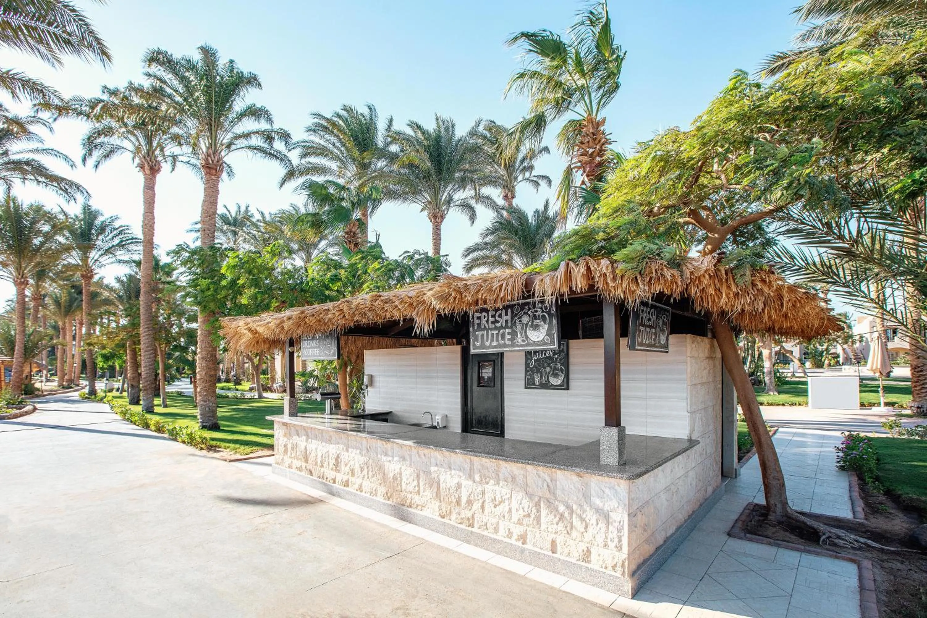 Lounge or bar in JAZ Makadi Oasis Resort