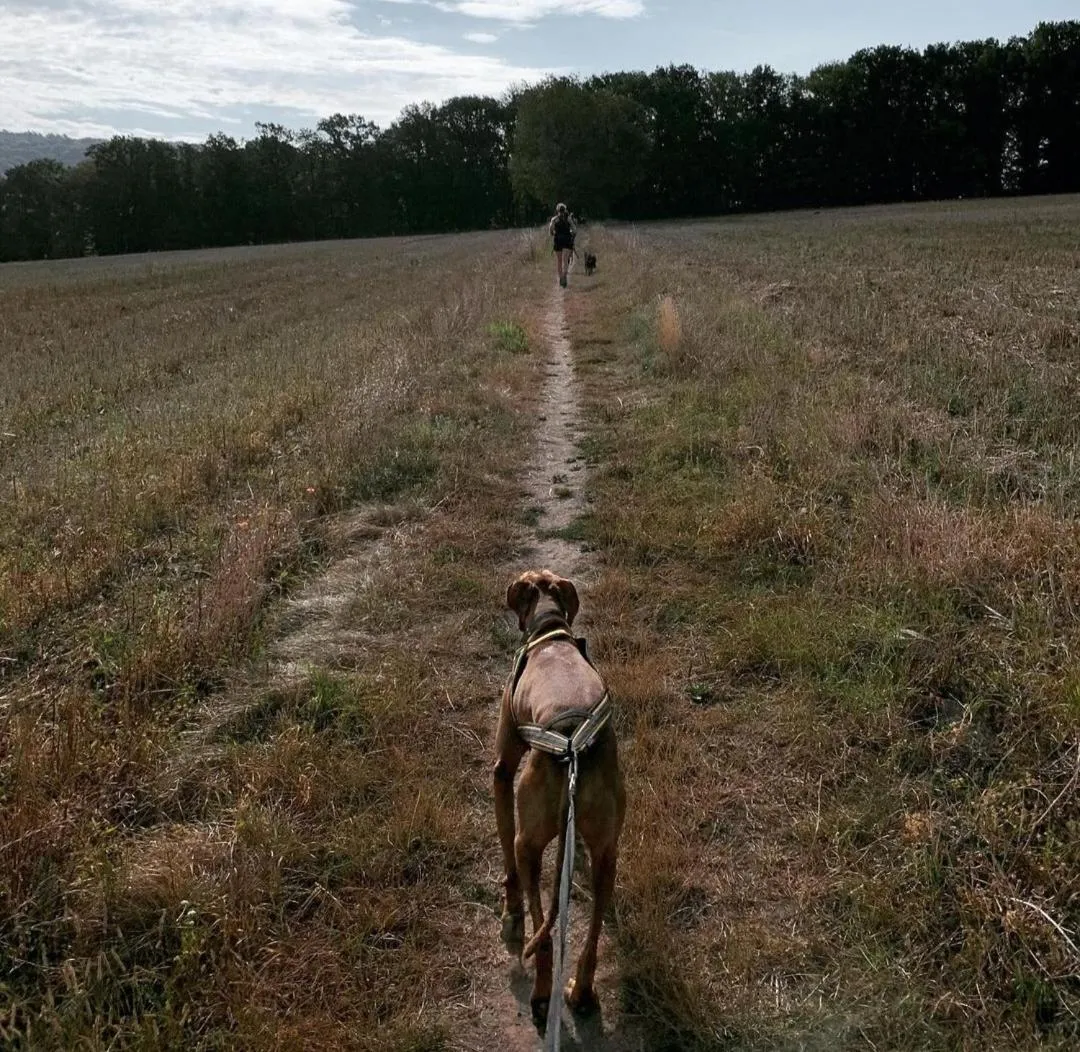 Escale Chambre d'hôtes Au coeur du vieux Profondeville entre Namur et Dinant