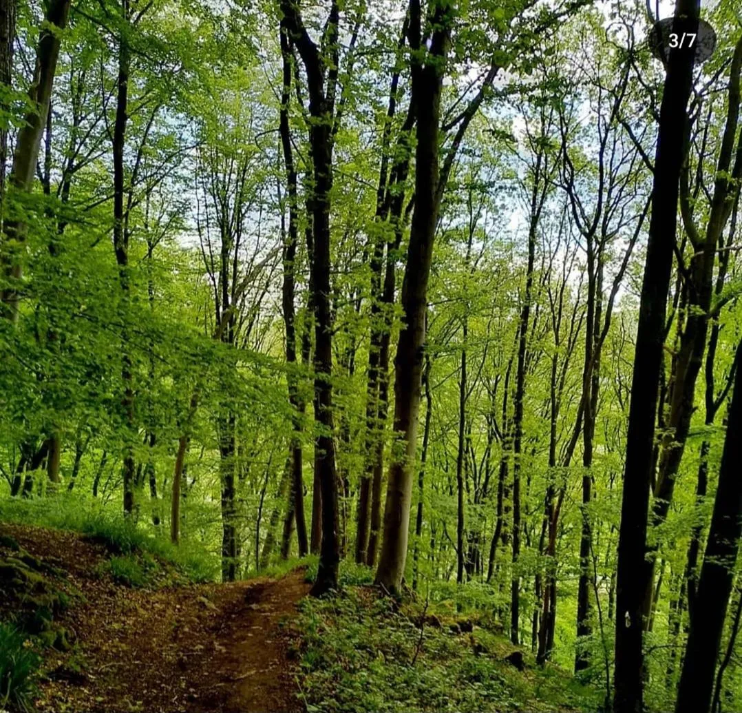Escale Chambre d'hôtes Au coeur du vieux Profondeville entre Namur et Dinant