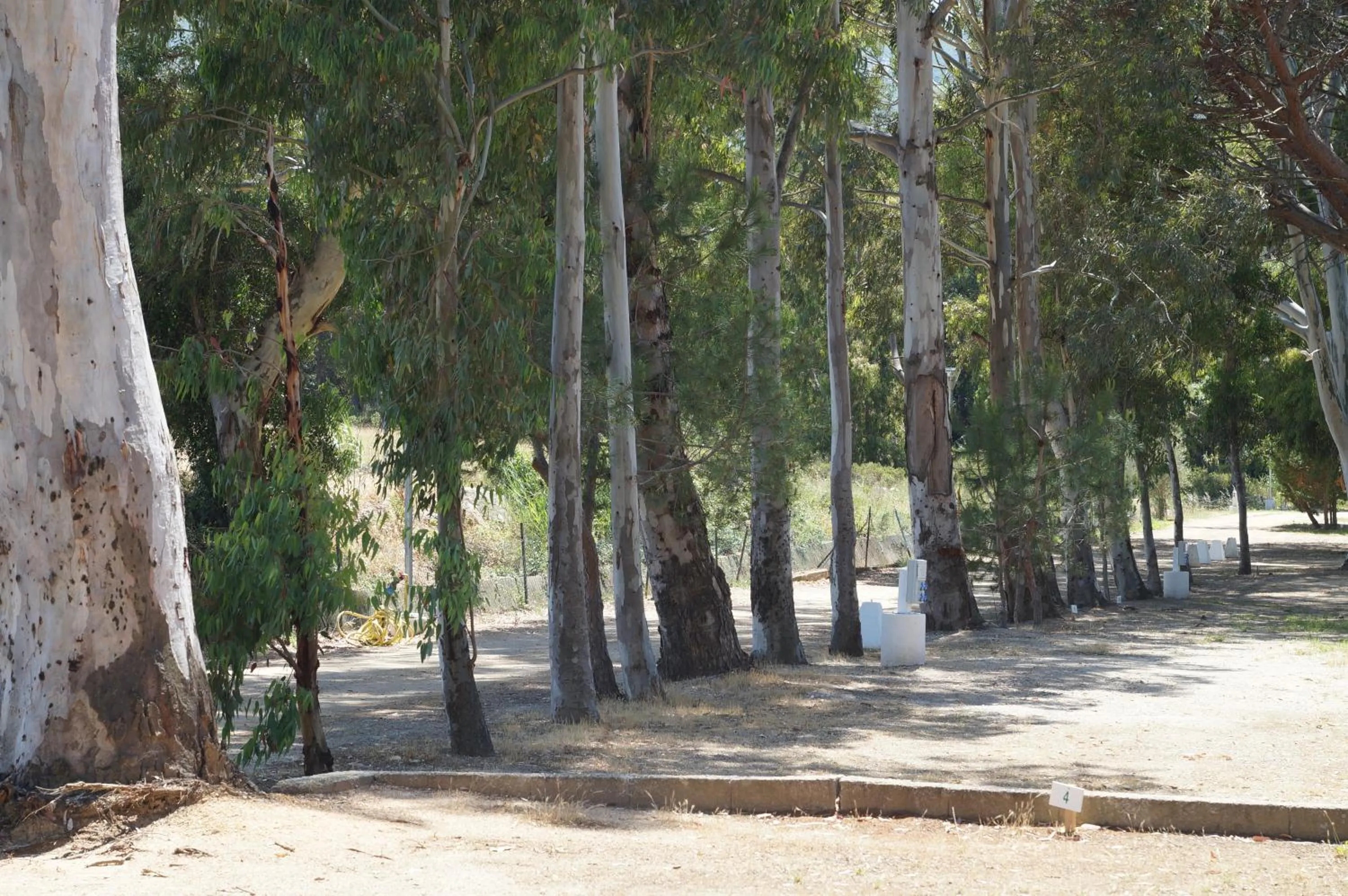 Other in Camping International