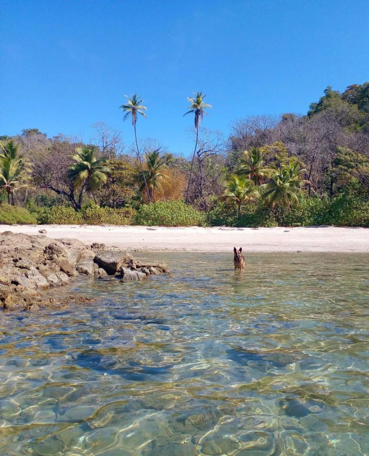 Beach in Villas Argan