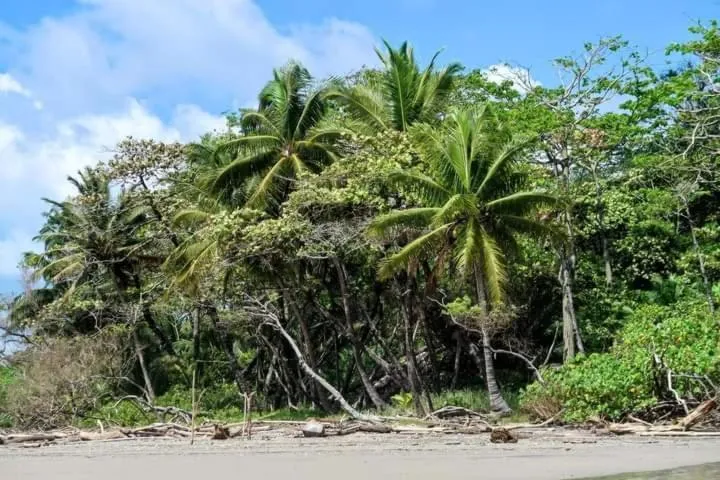 Beach in Villas Argan