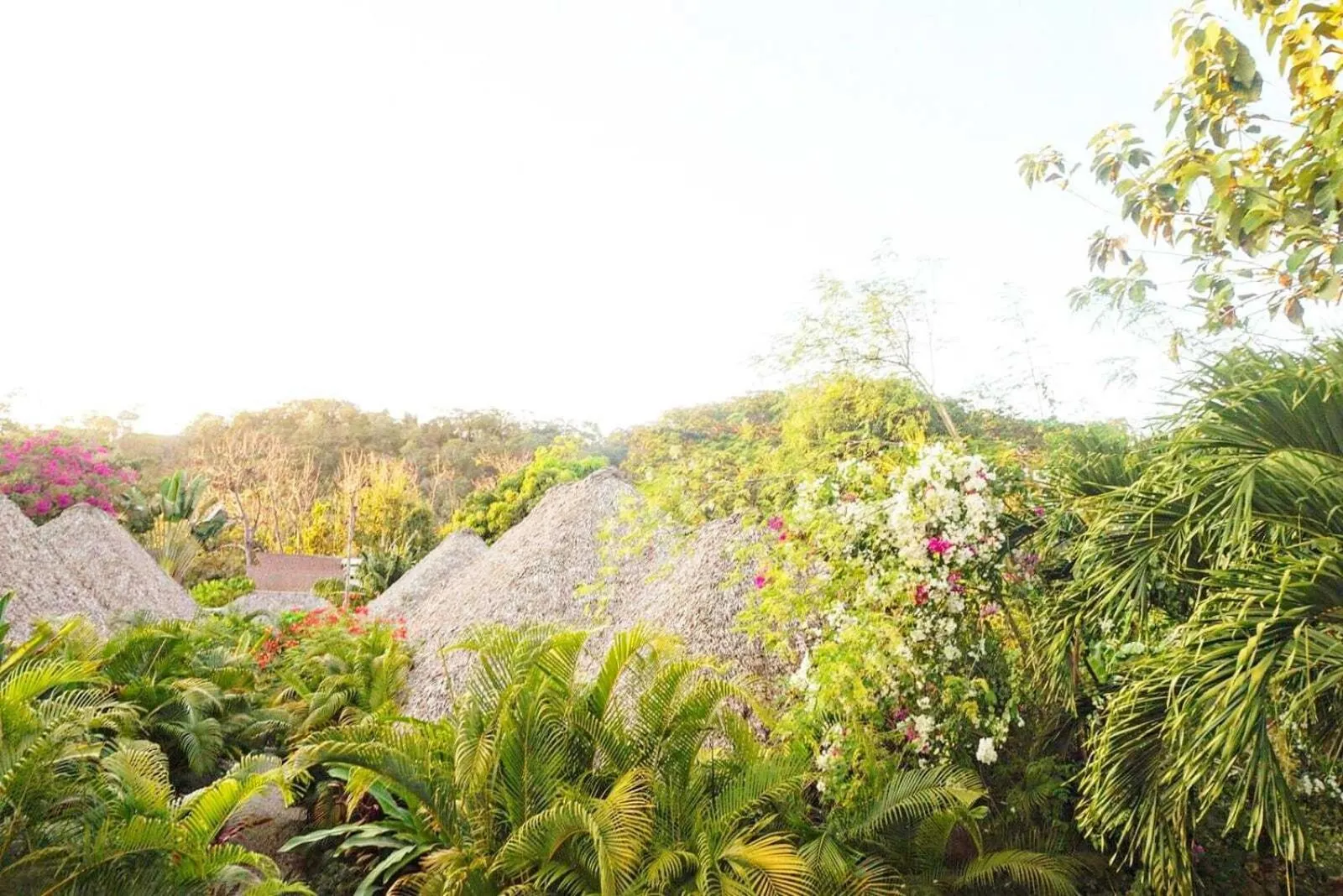 View (from property/room) in Villas Argan