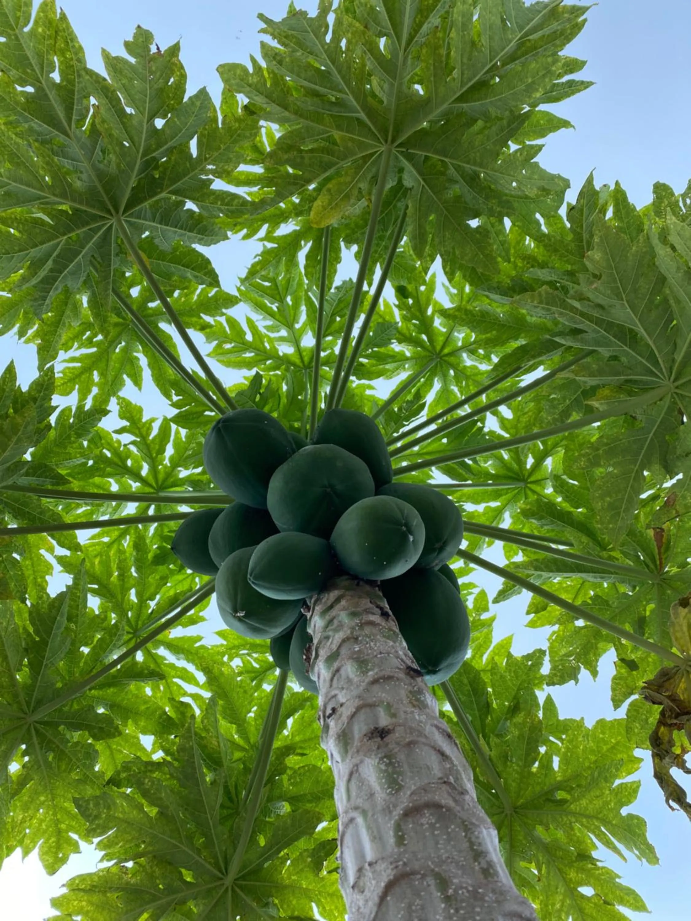 Area and facilities in Lighthouse Guesthouse