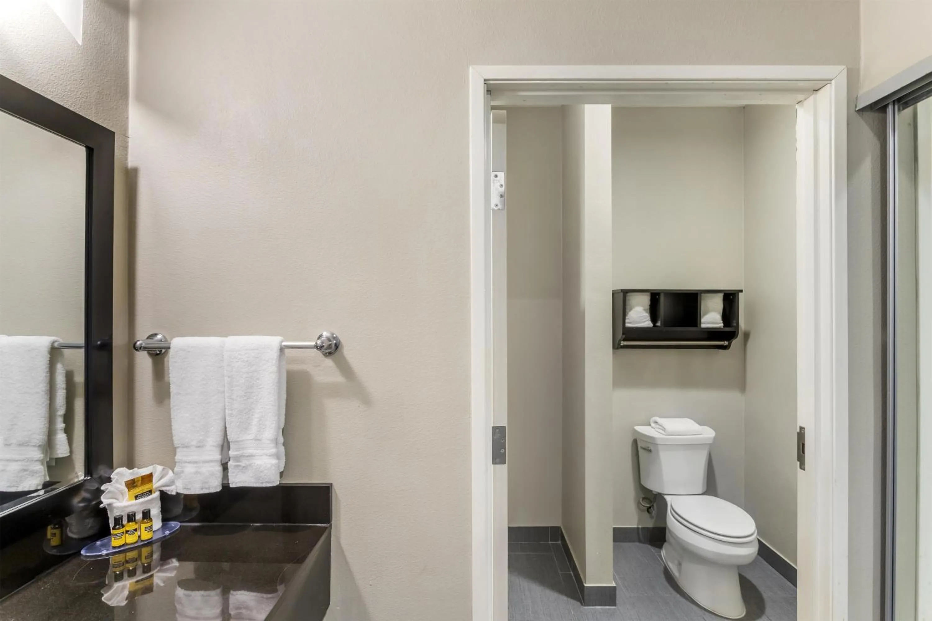 Bathroom in Best Western Plus Laredo Inn & Suites