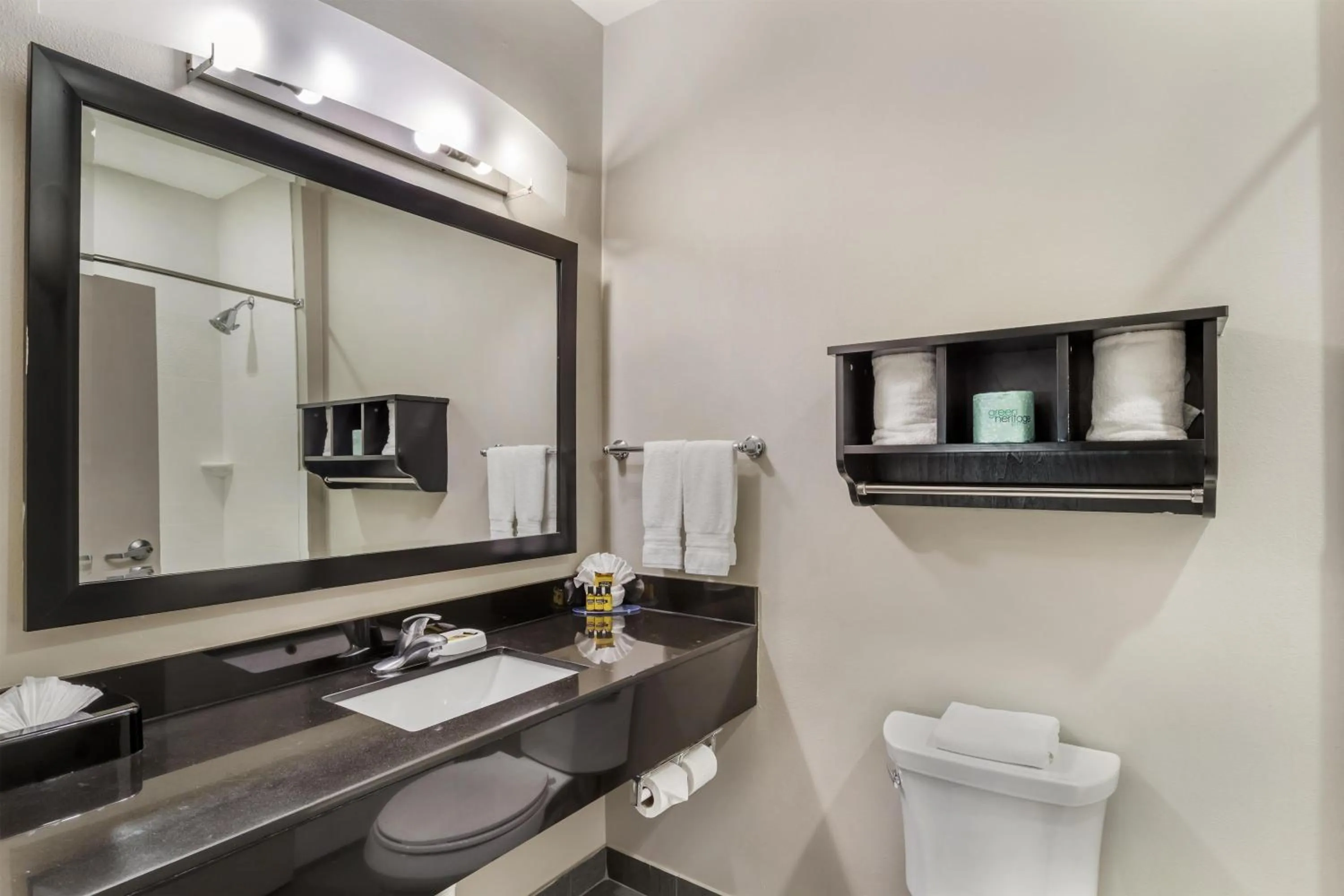 Bathroom in Best Western Plus Laredo Inn & Suites
