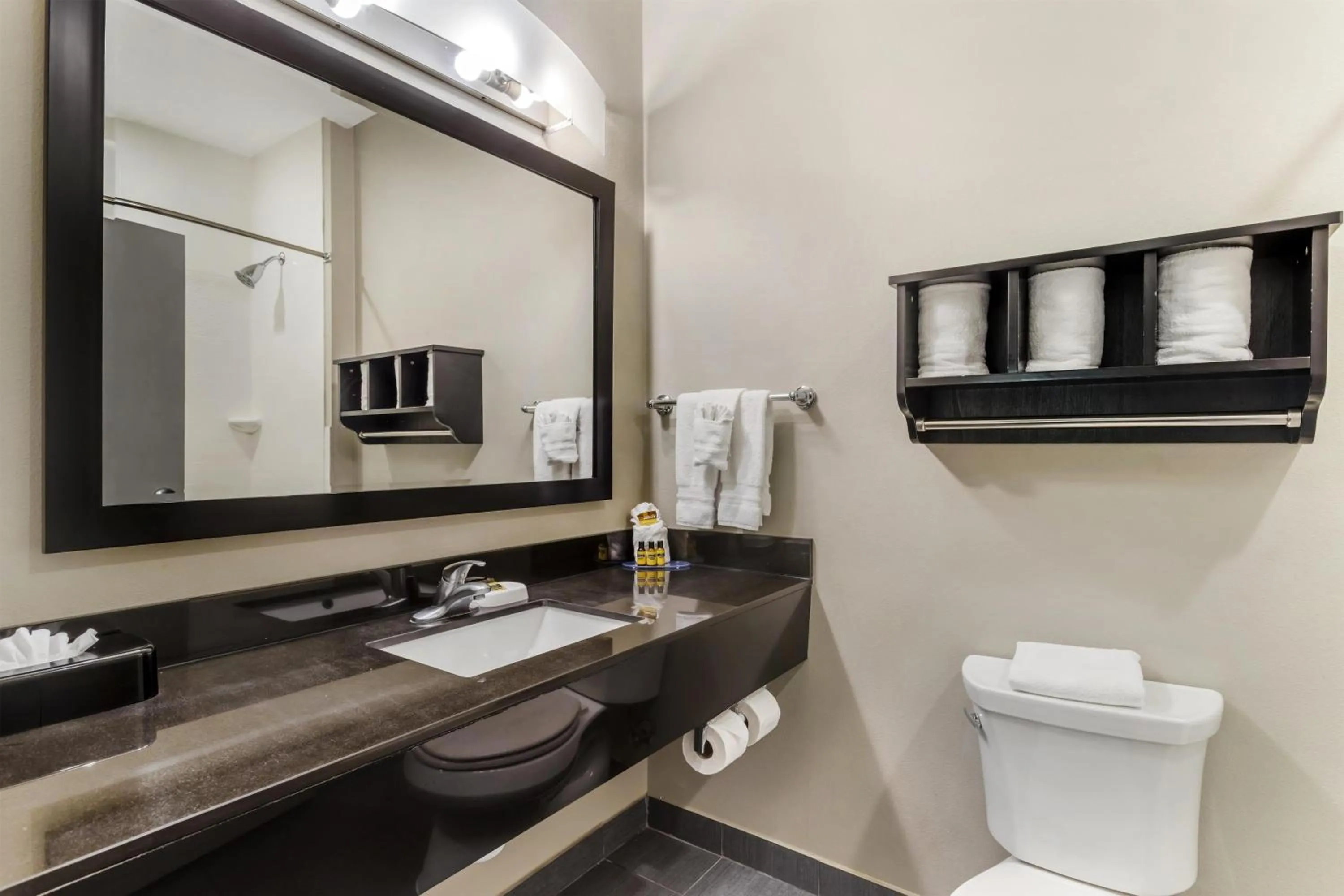 Bathroom in Best Western Plus Laredo Inn & Suites