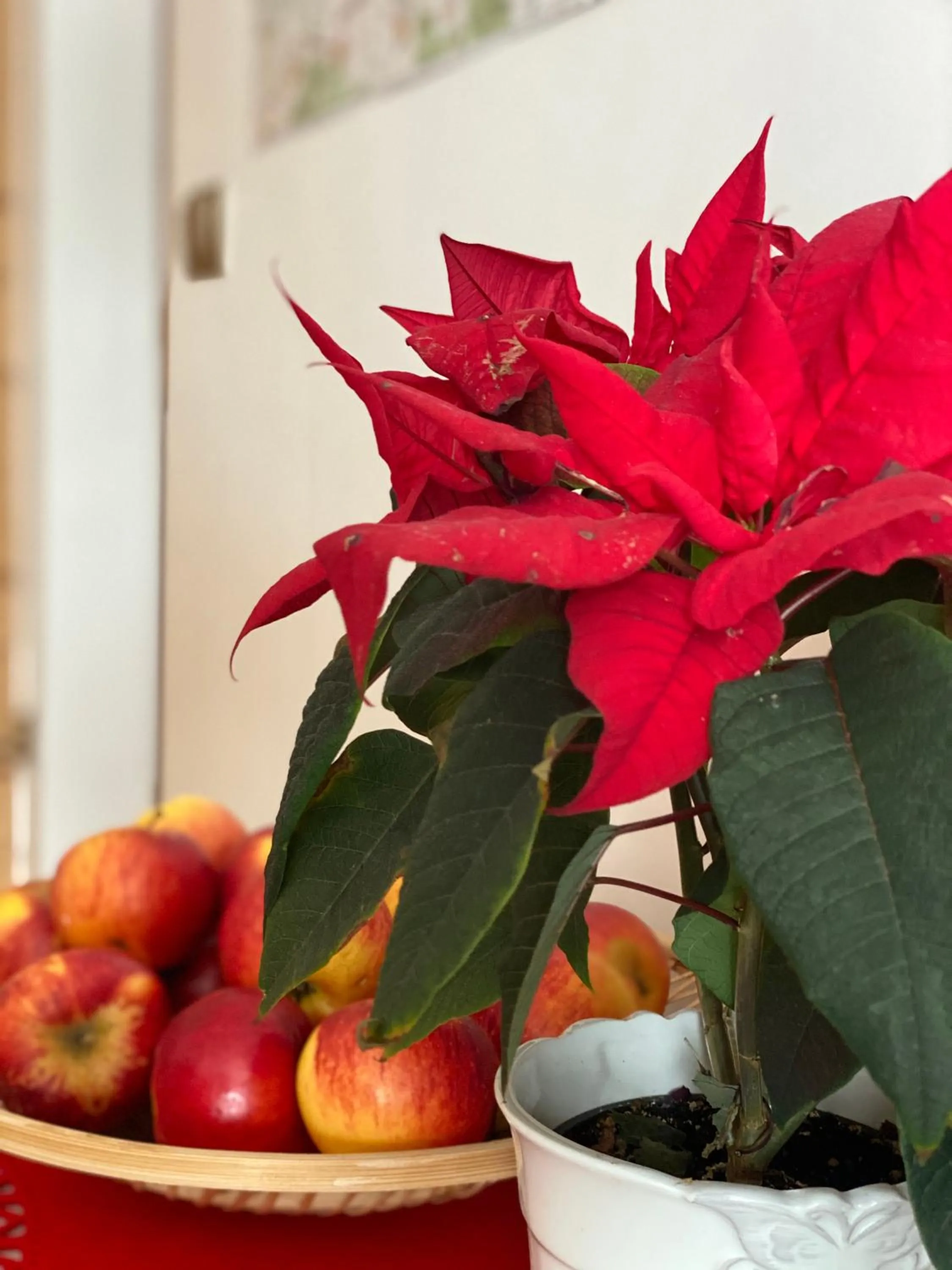 Decorative detail in Siumno Izba B&B Brzegi