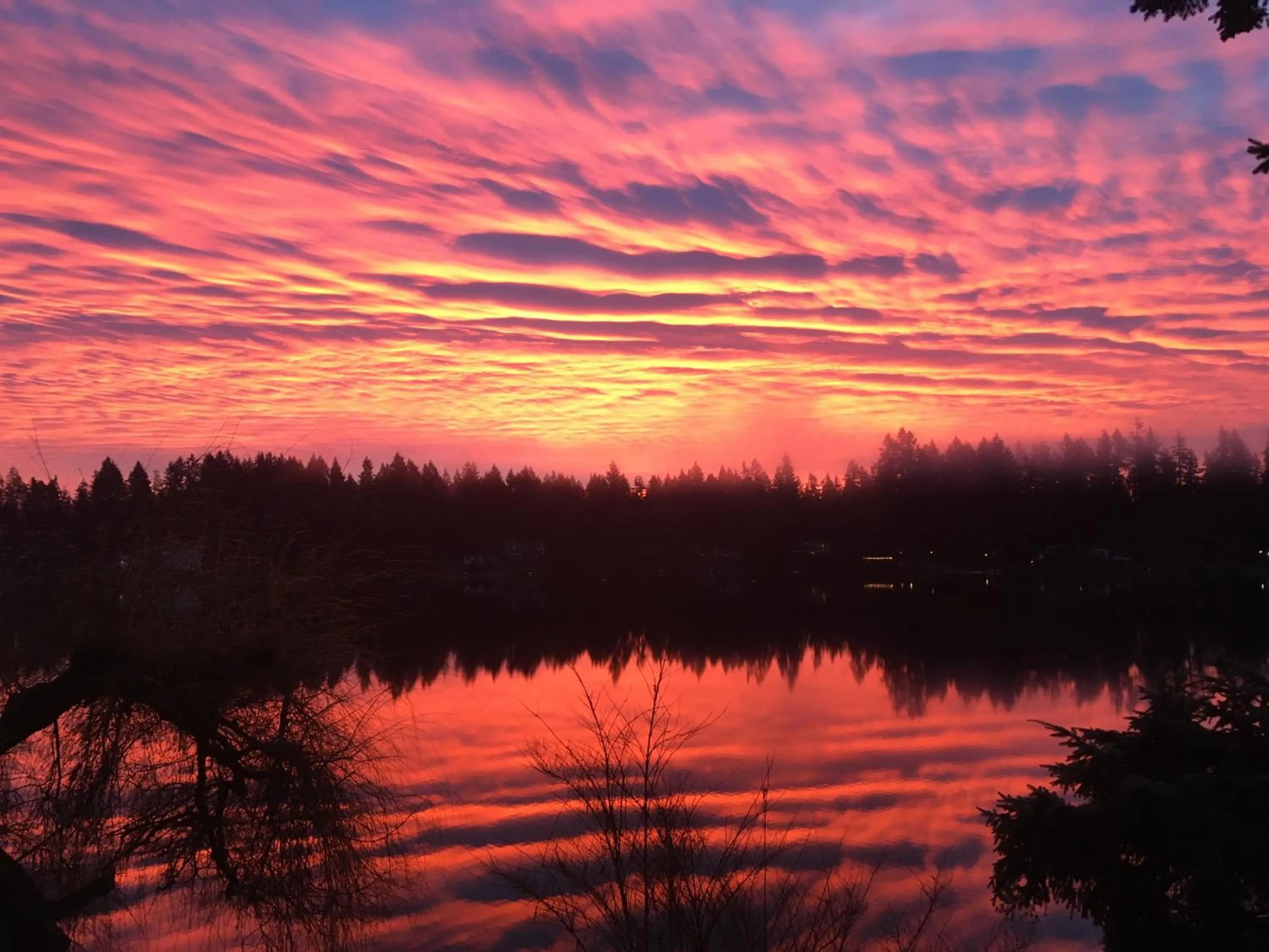 Natural landscape in Cottage Lake Bed and Breakfast