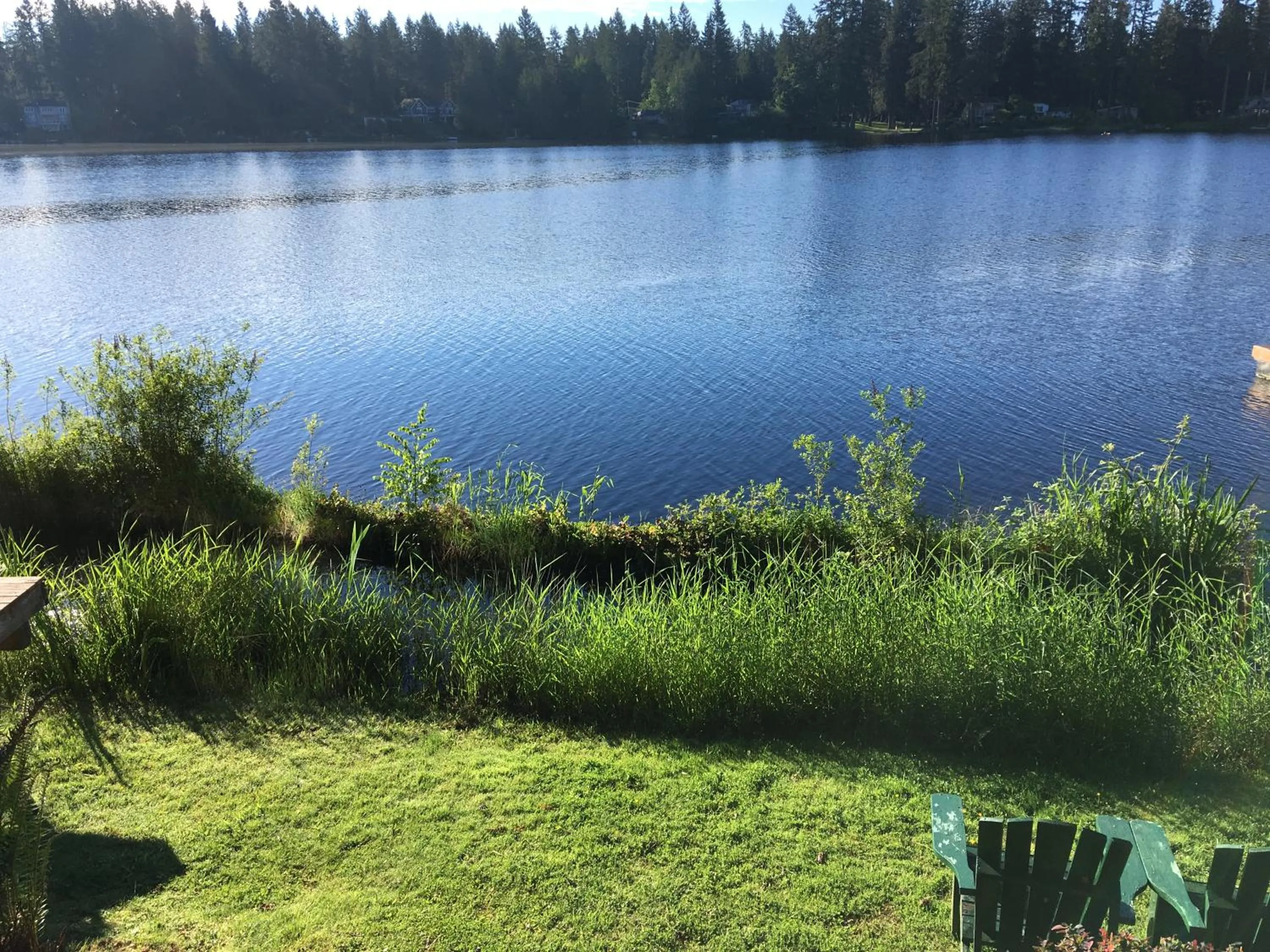 Lake view in Cottage Lake Bed and Breakfast