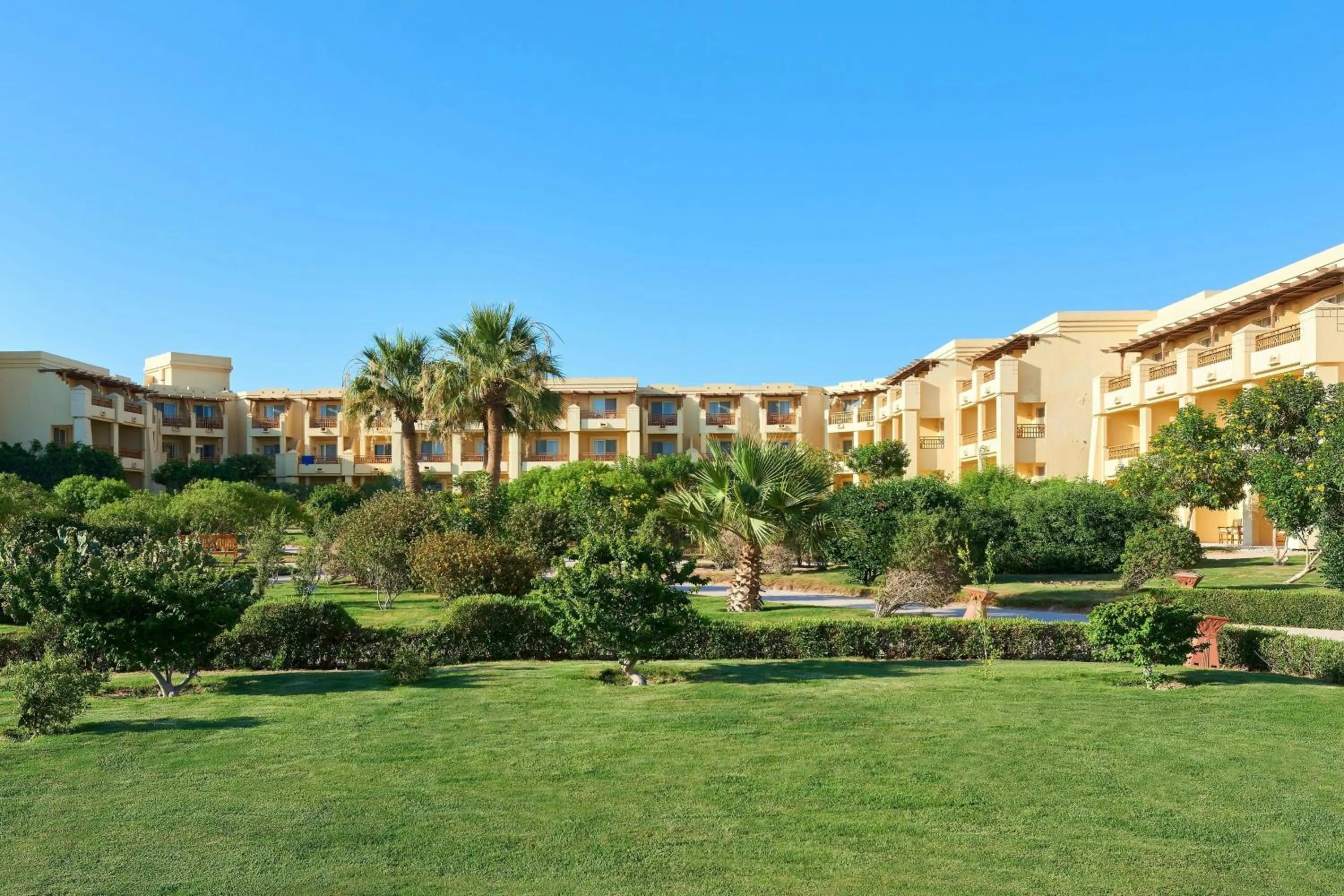 Beach in Sheraton Soma Bay Resort