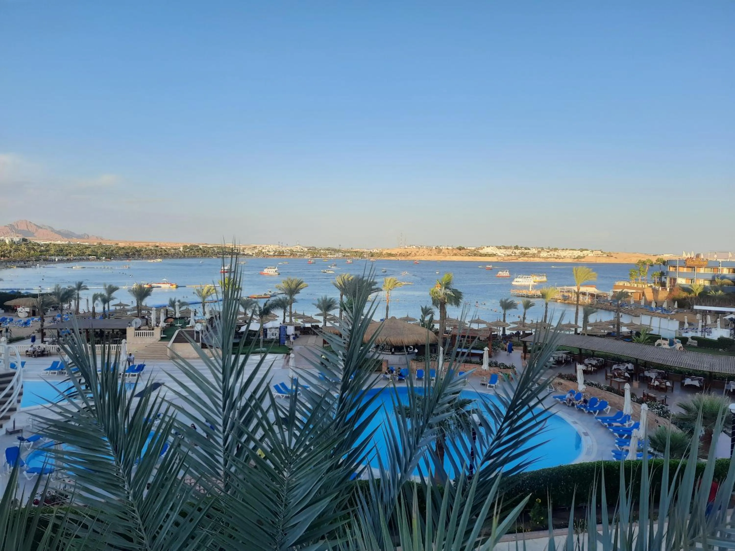 Pool view in Marina Sharm Hotel