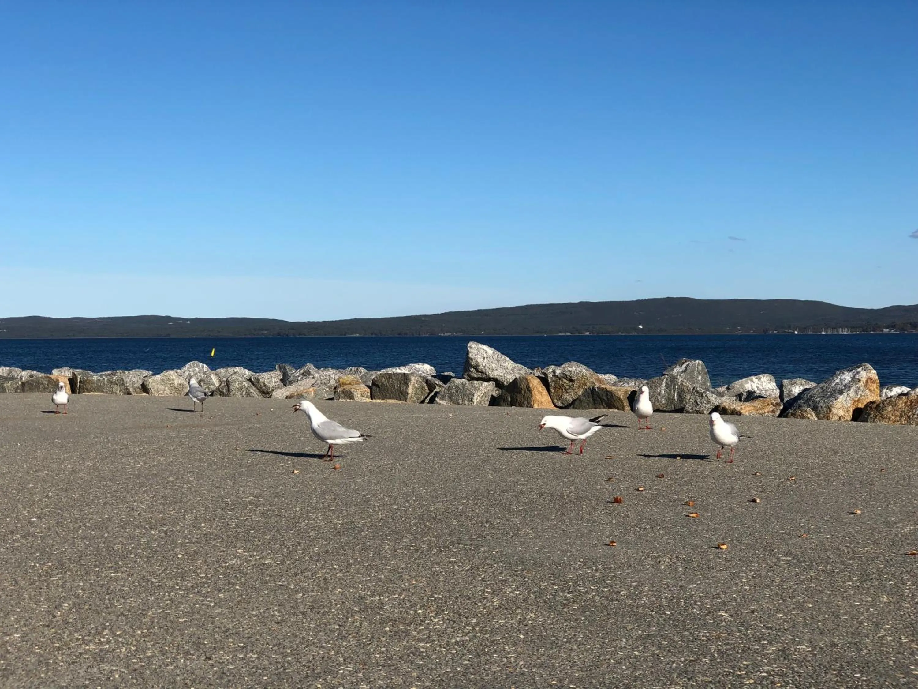 Albany Foreshore Guest House