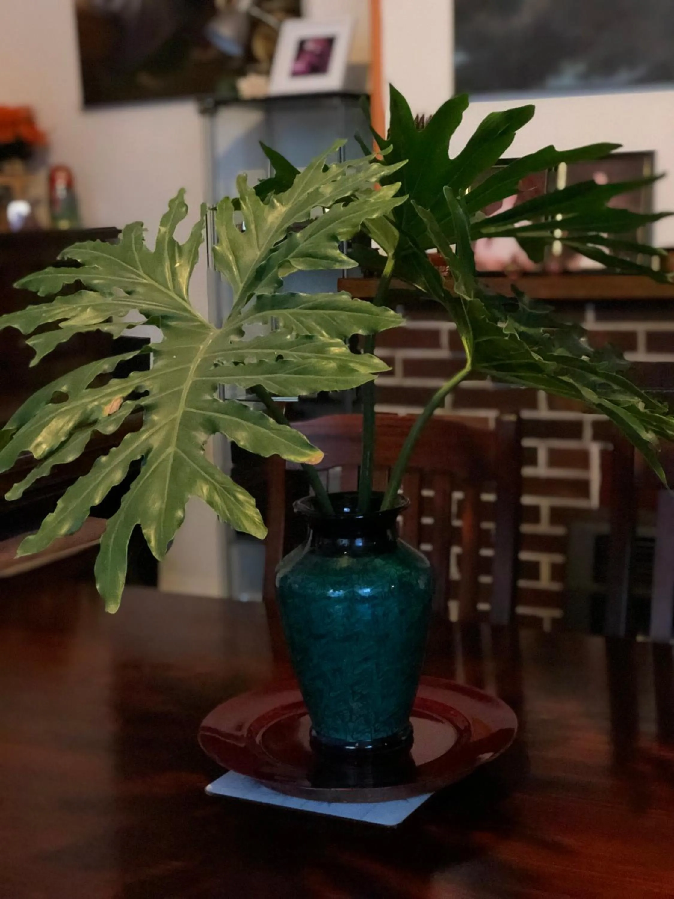 Albany Foreshore Guest House