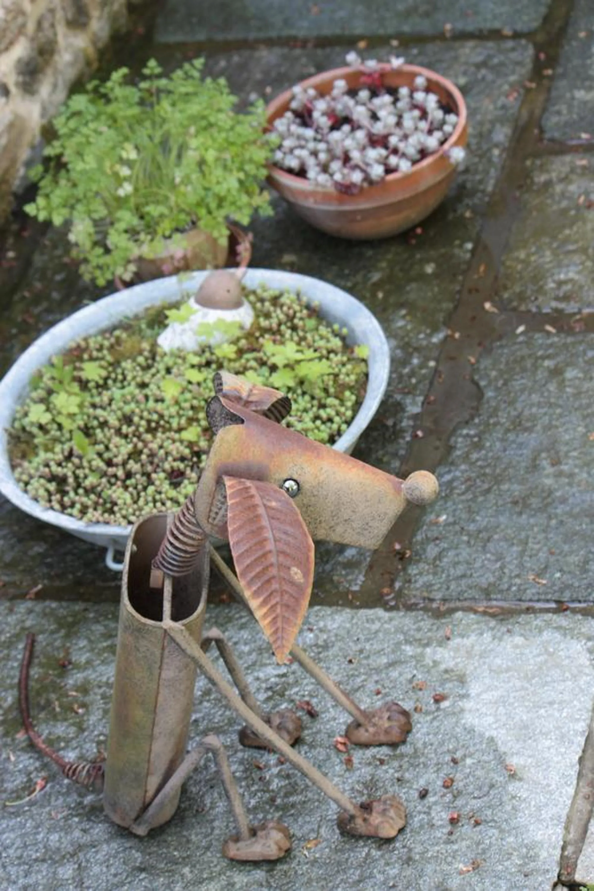 Garden in Le Berceul