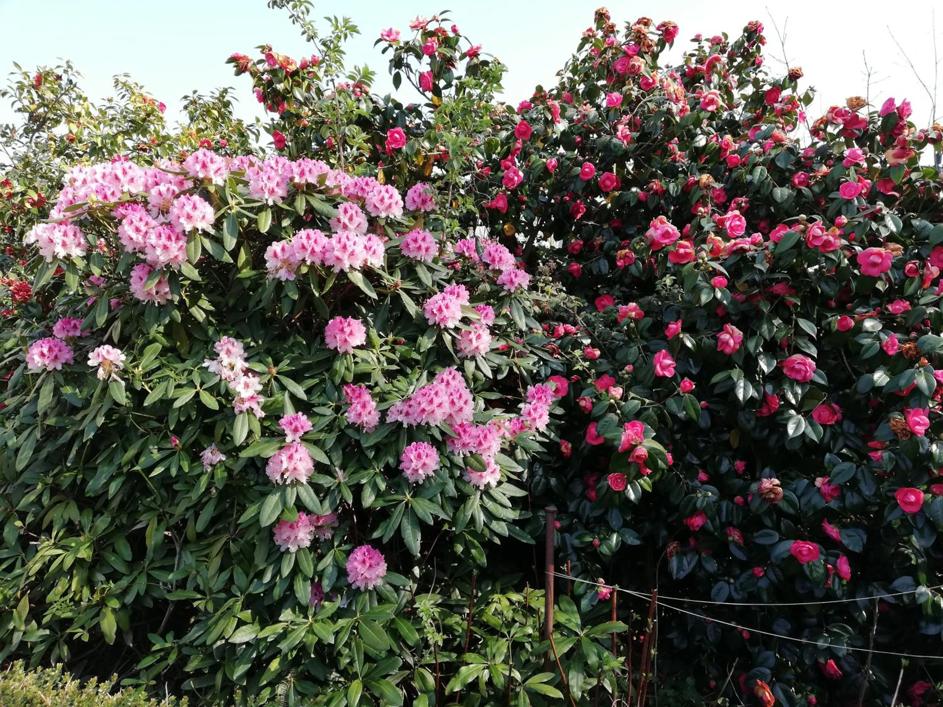 Garden in Le Berceul