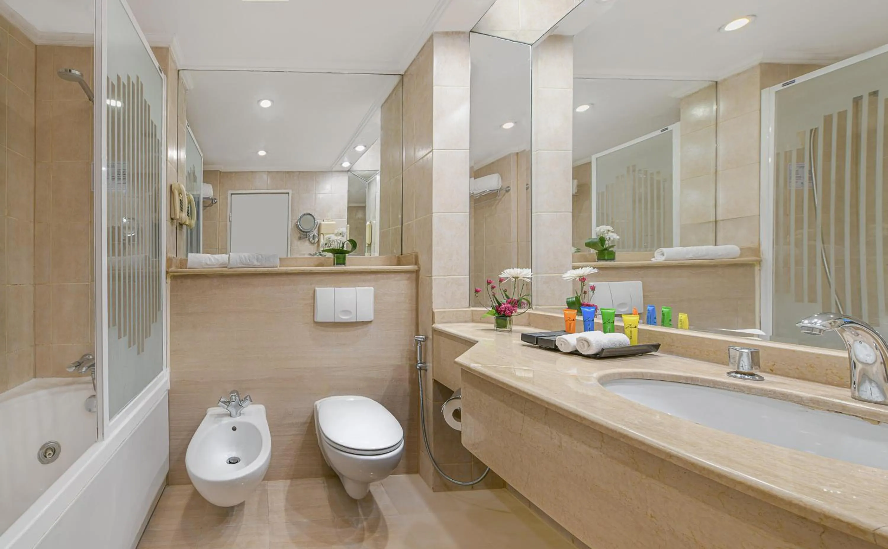 Shower in Sonesta Hotel Tower & Casino Cairo