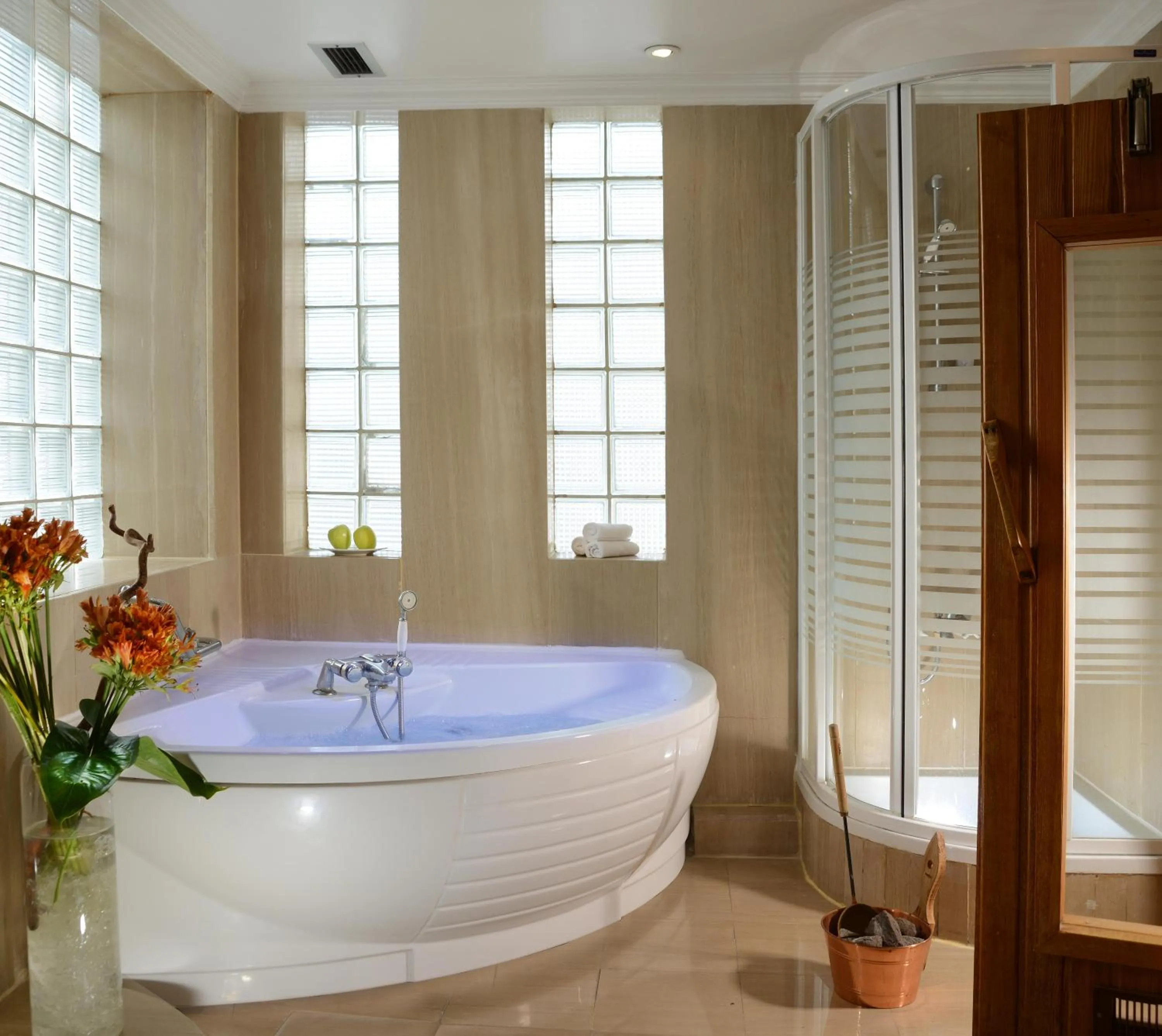 Shower in Sonesta Hotel Tower & Casino Cairo