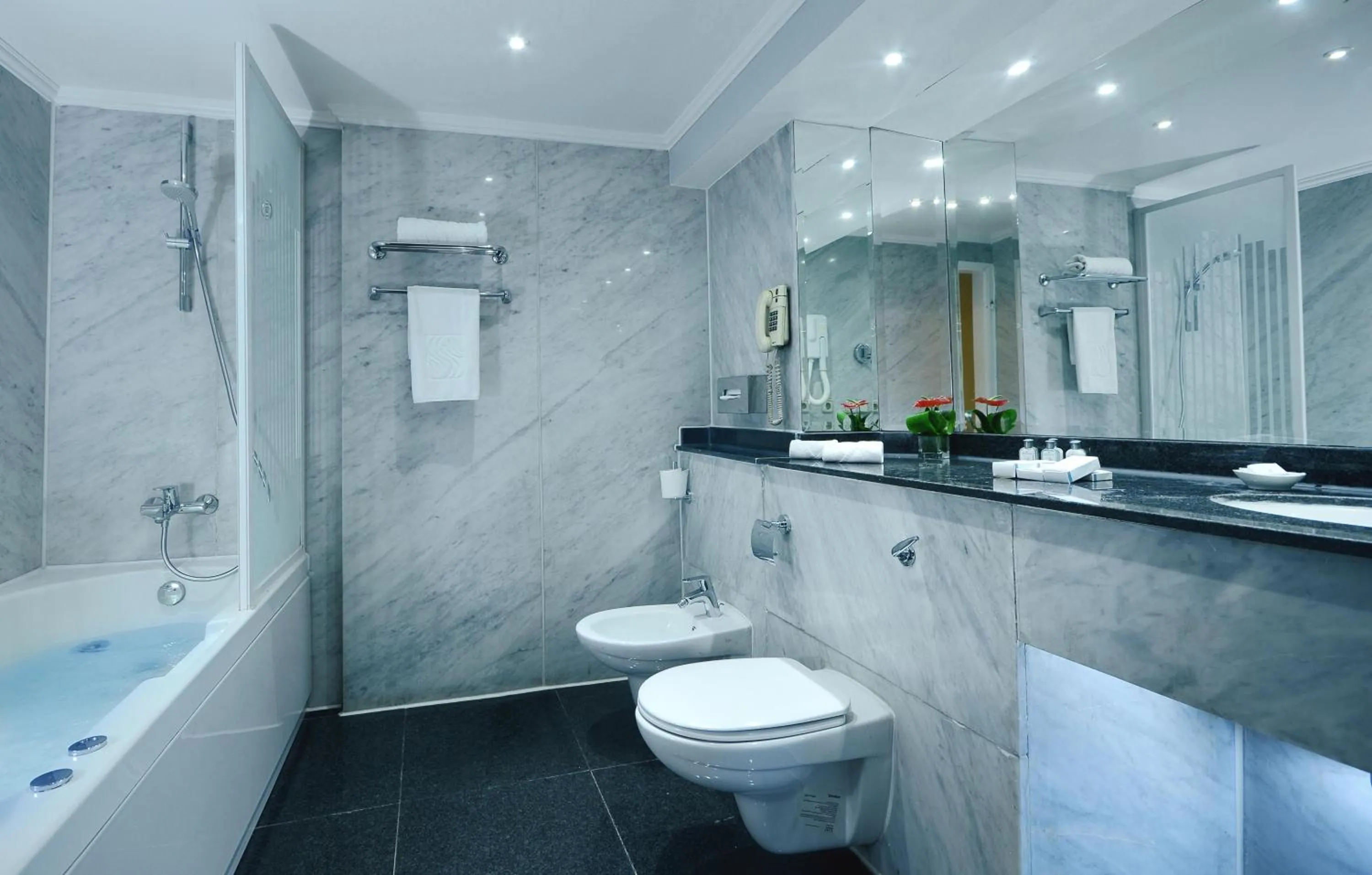 Shower in Sonesta Hotel Tower & Casino Cairo