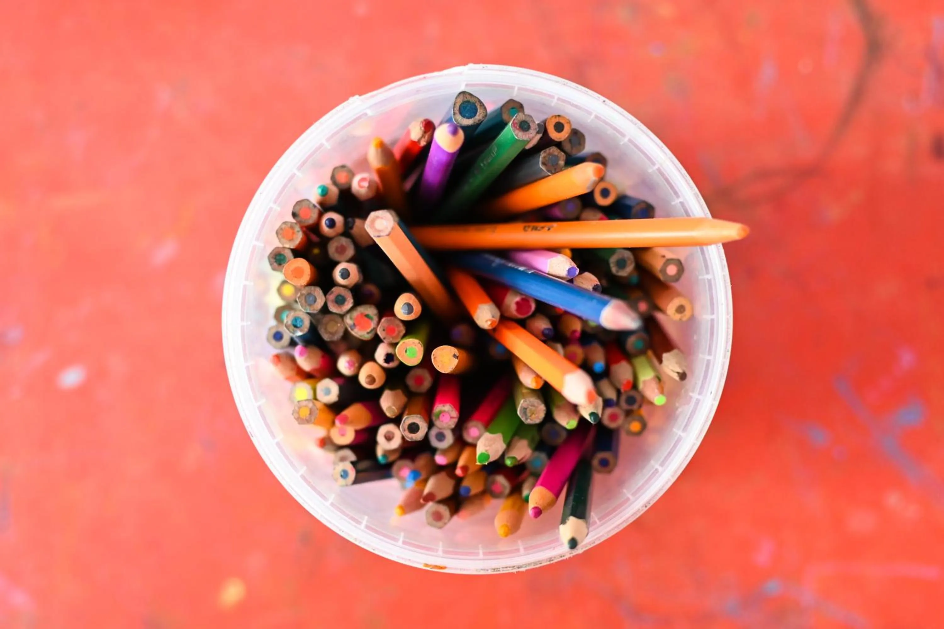 Children play ground in Crvena Luka Resort