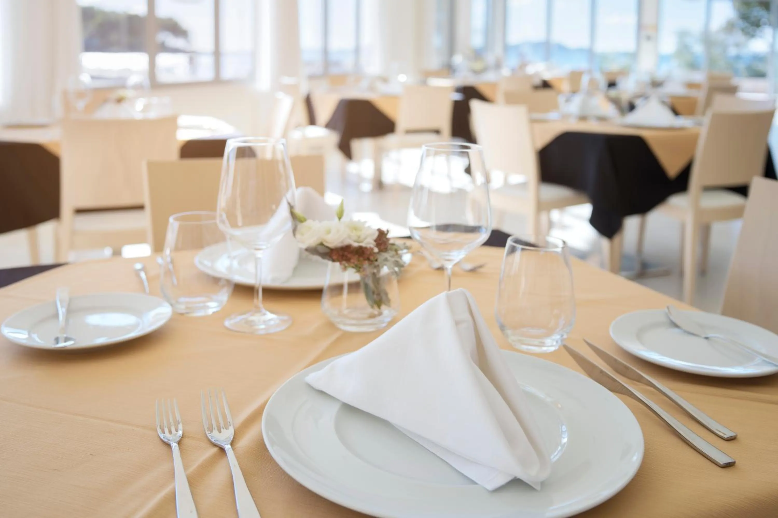 Restaurant/places to eat in Crvena Luka Resort