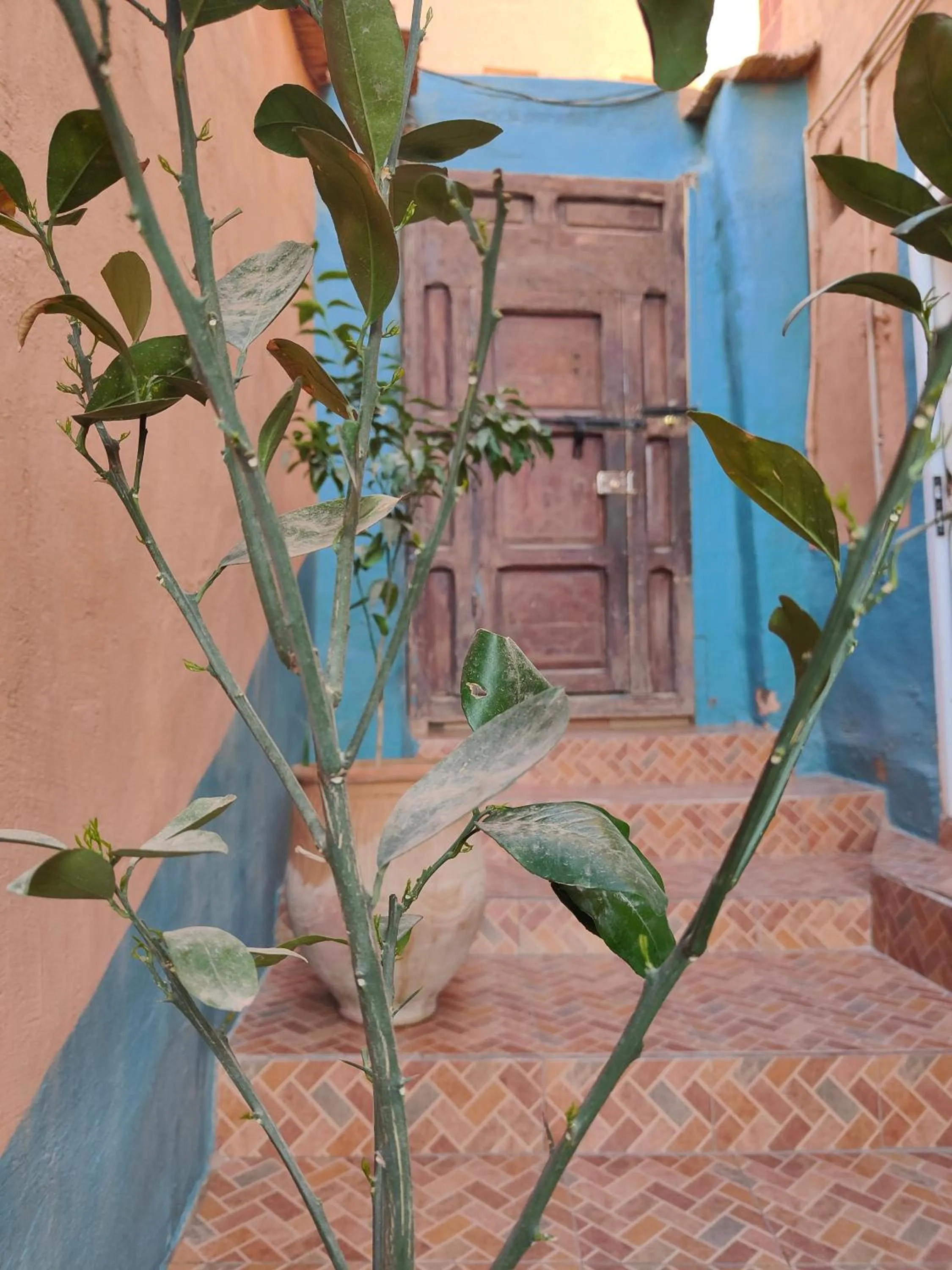 Property building in Le Retour au calme Maison d'hôtes