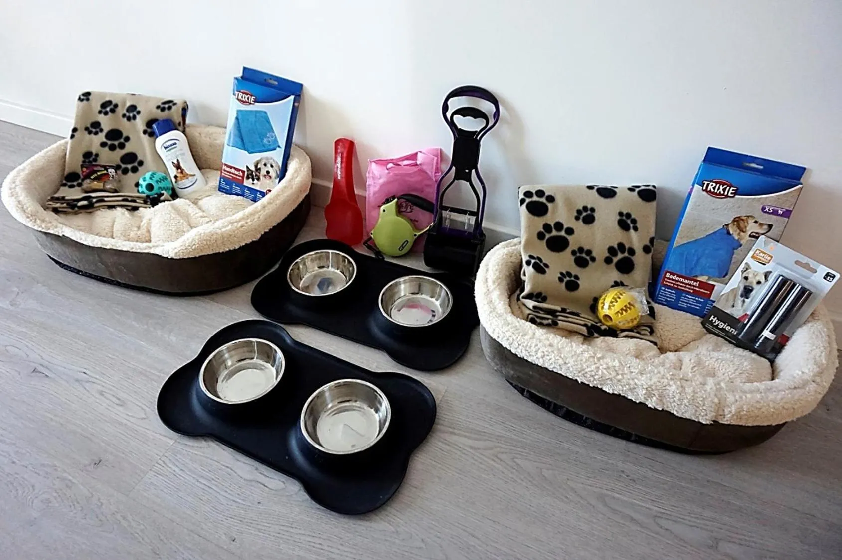 Pets in Hotel Boutique Minister 4Sup