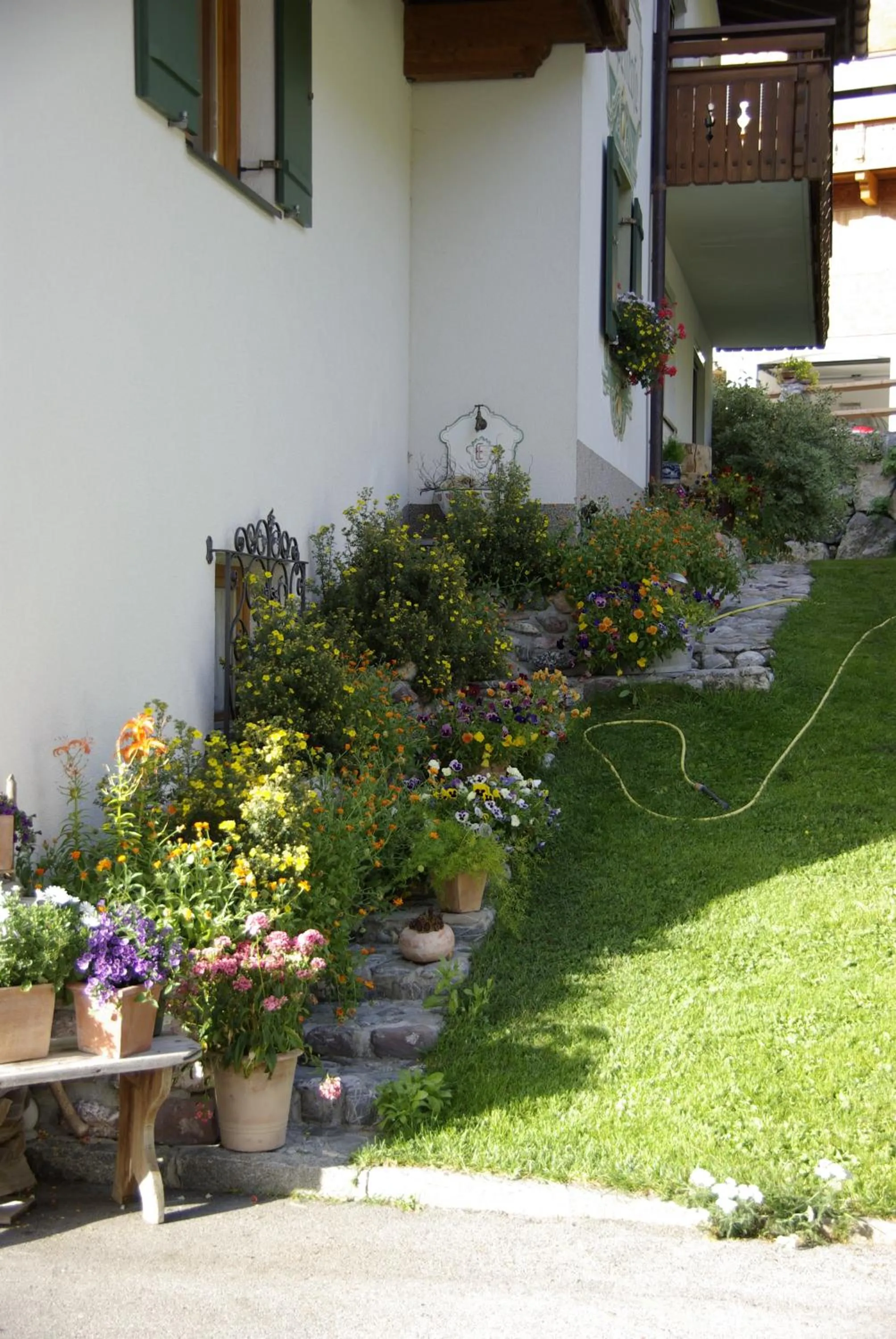 Spring in die AlpenRose