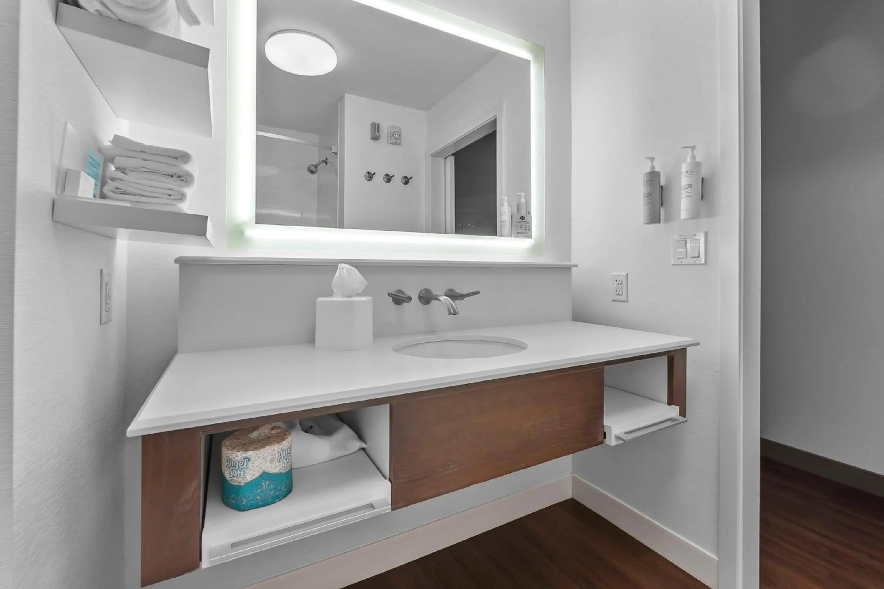 Bathroom in Hampton Inn Cape Girardeau I-55 East, MO