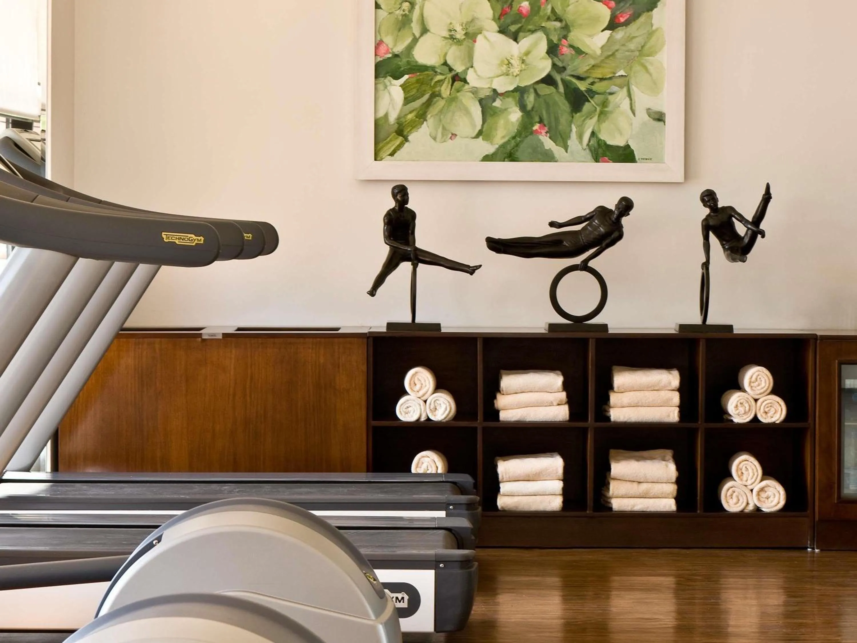 Fitness centre/facilities in Sofitel Cairo Nile El Gezirah