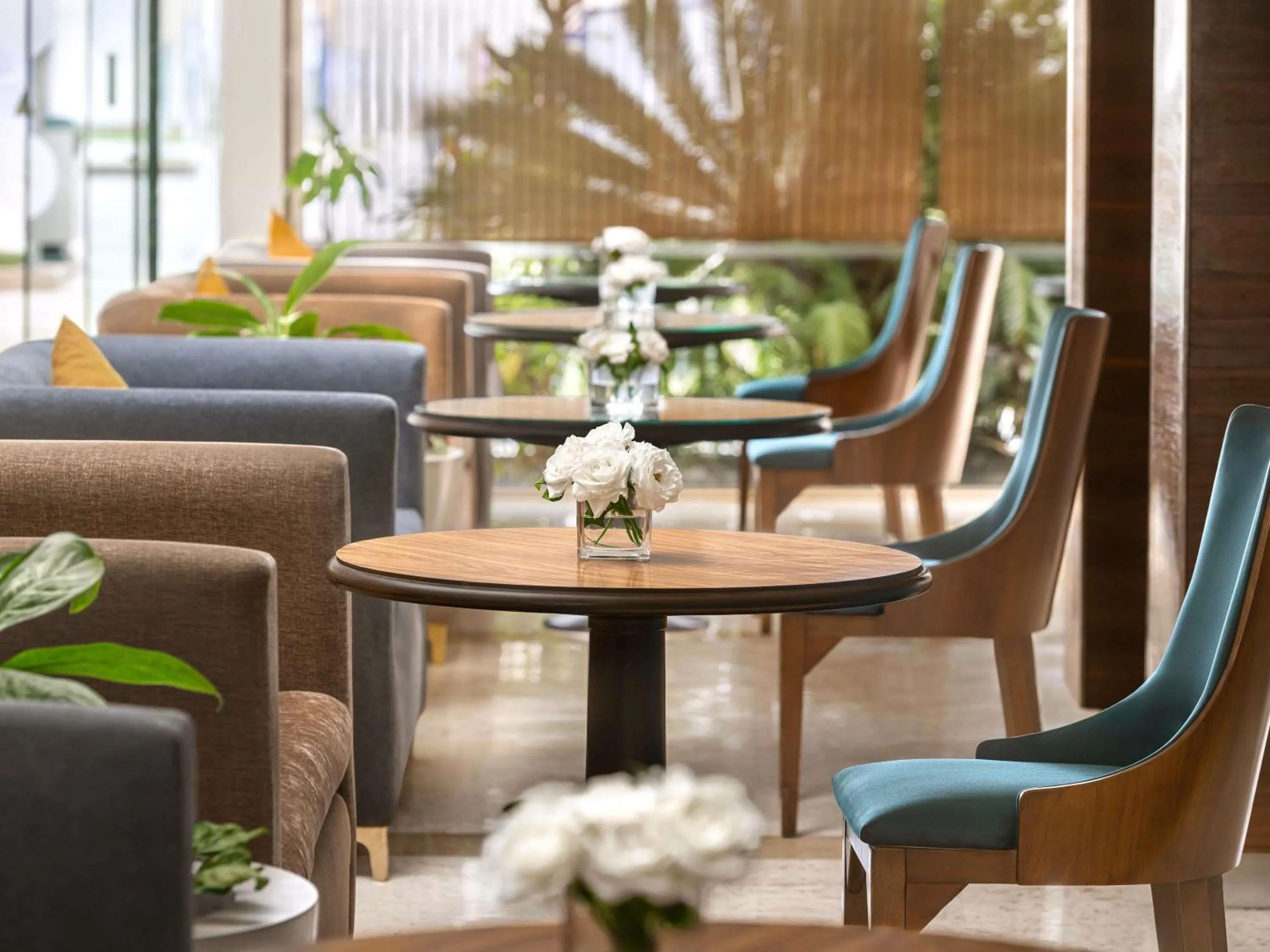 Lounge or bar in Novotel Cairo Airport