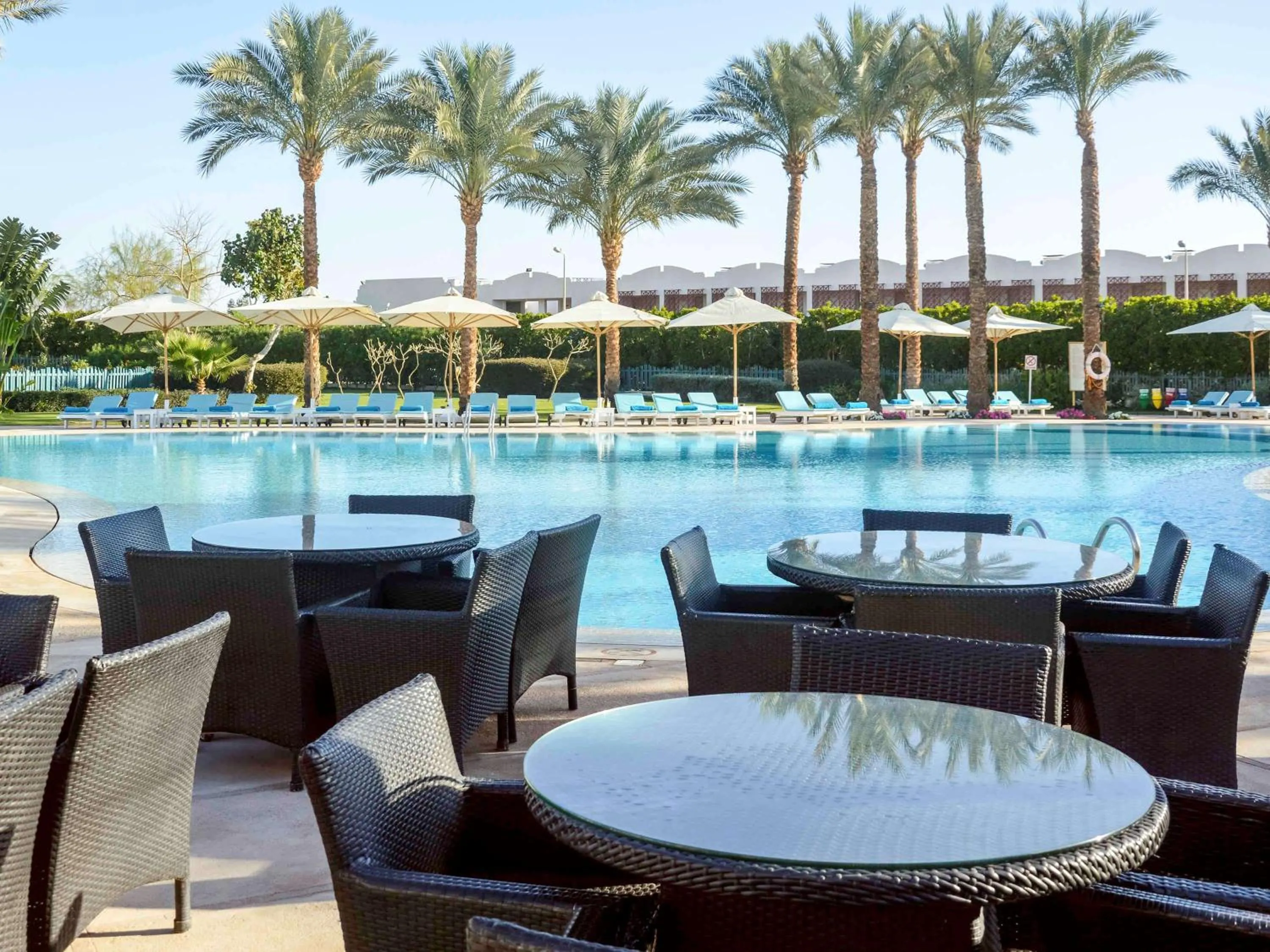 Lounge or bar in Hotel Novotel Sharm El-Sheikh