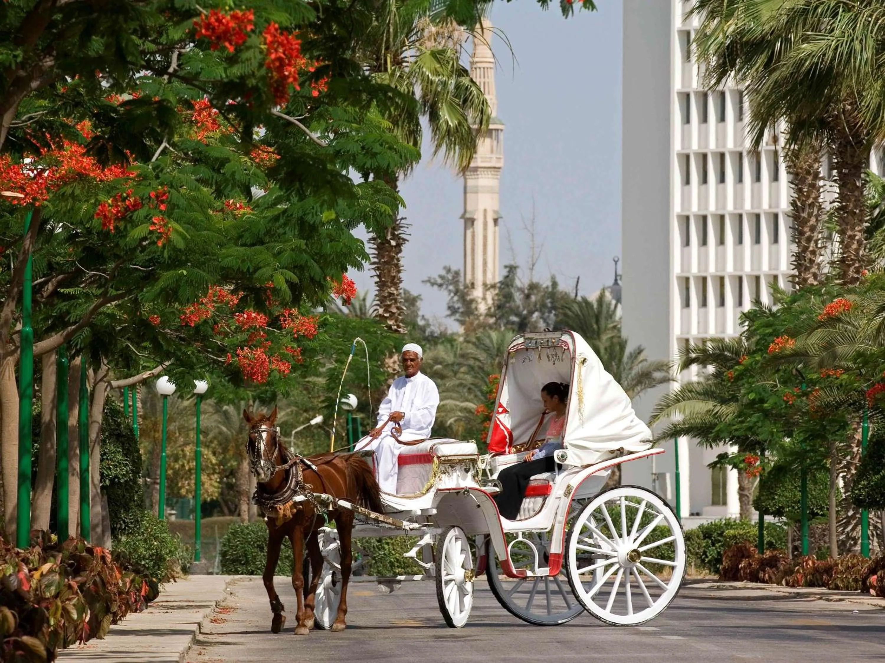 On site in Mercure Ismailia Forsan Island