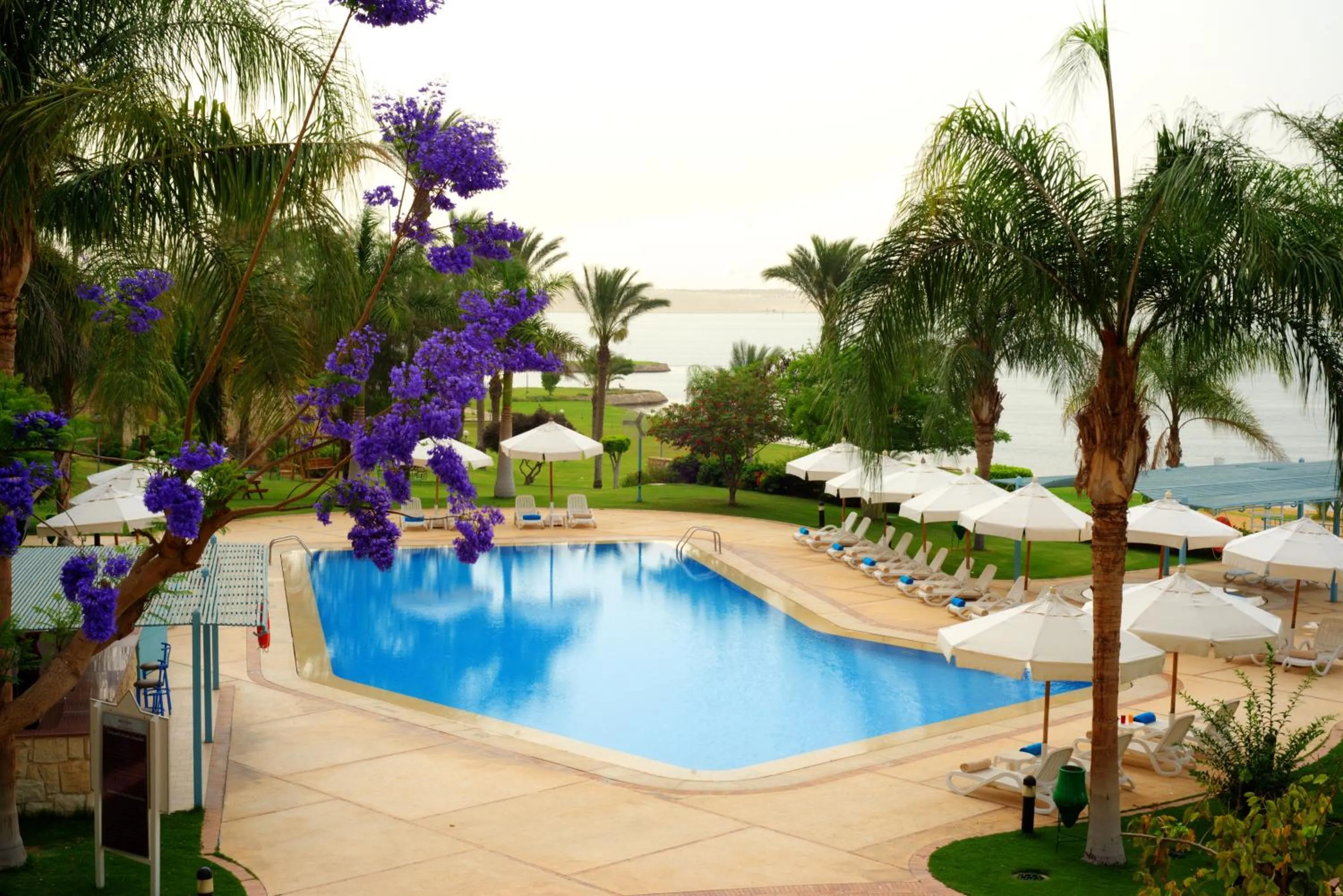 Pool view in Mercure Ismailia Forsan Island