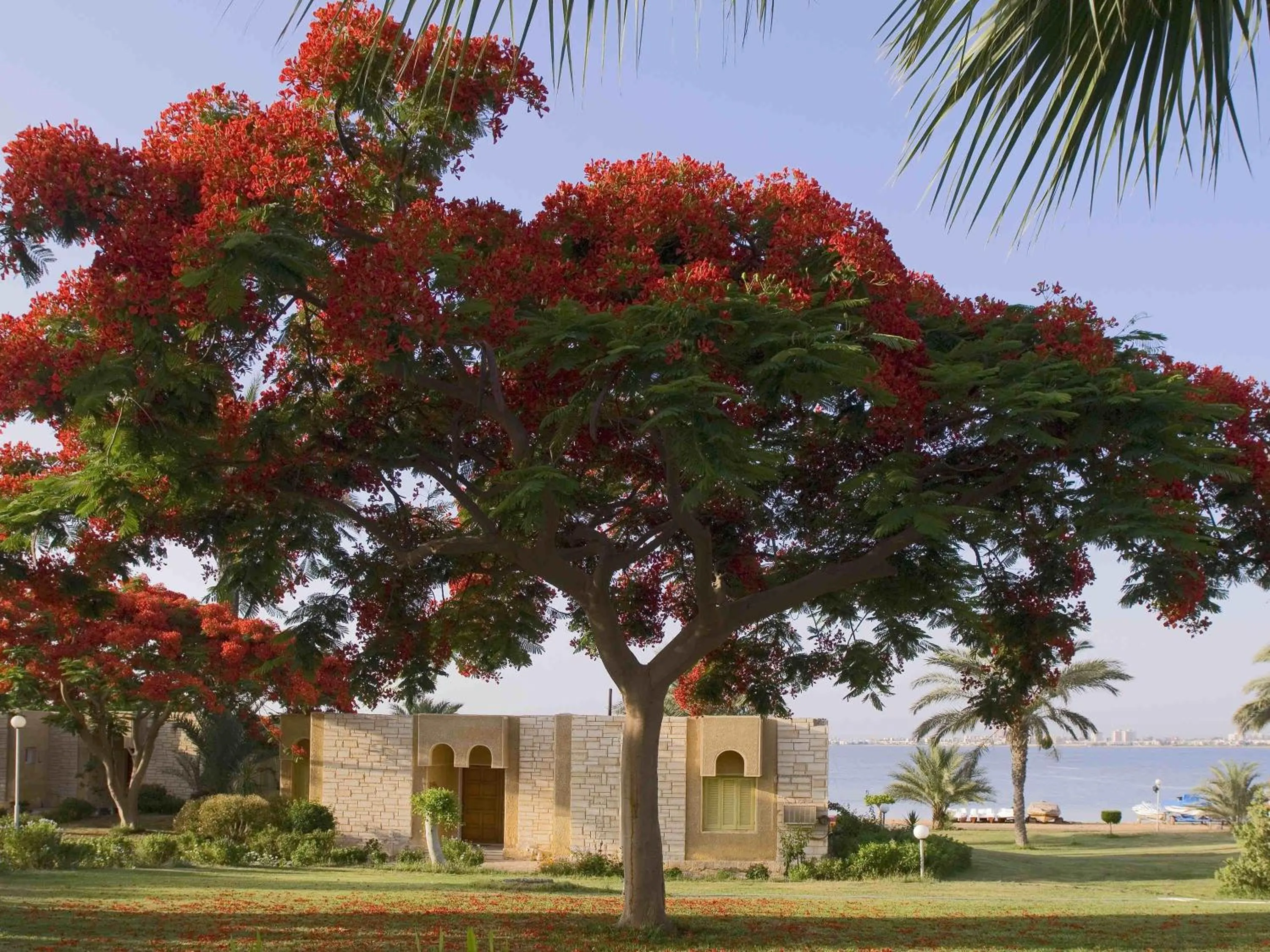 Bedroom in Mercure Ismailia Forsan Island