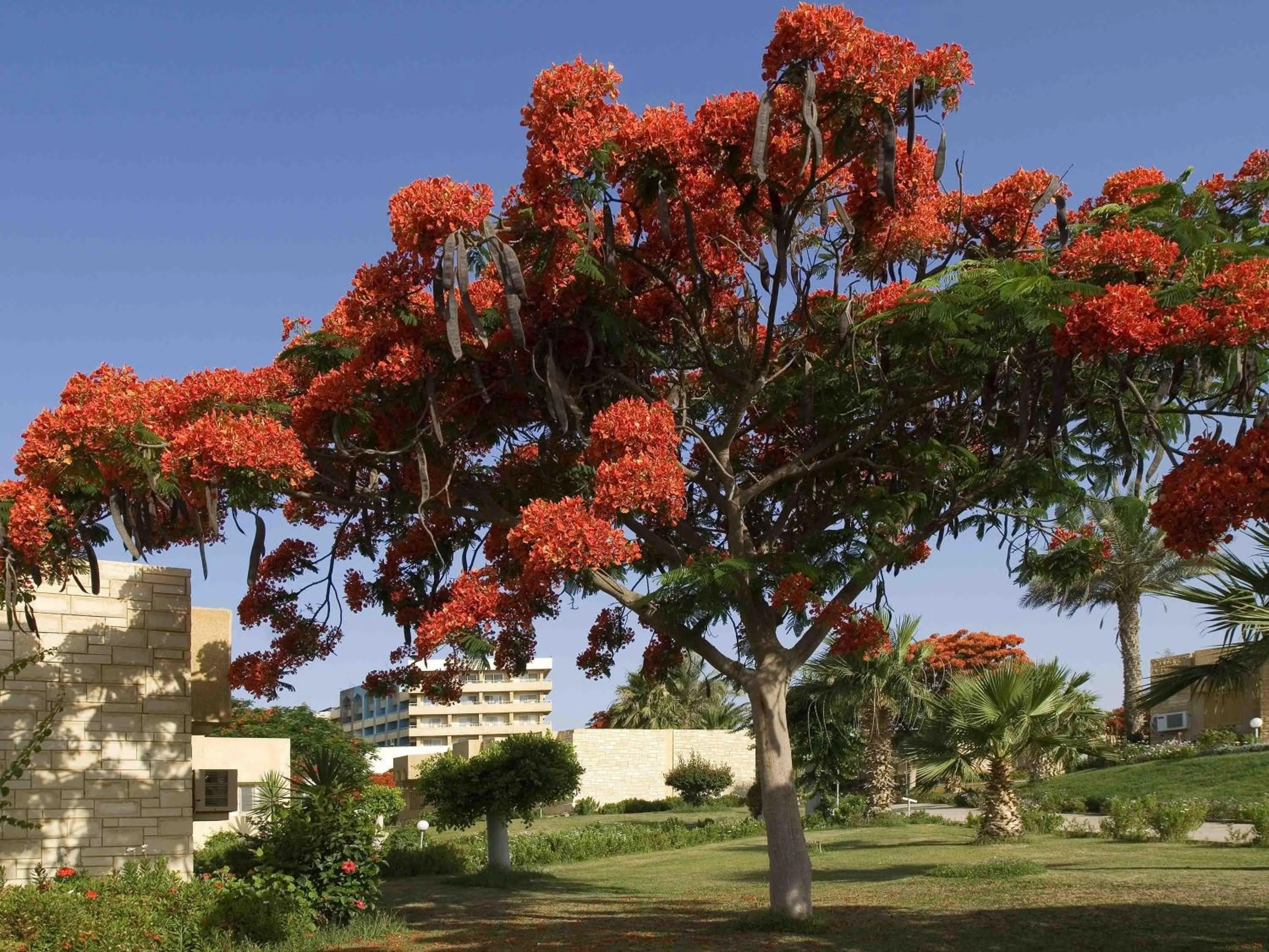 Bedroom in Mercure Ismailia Forsan Island