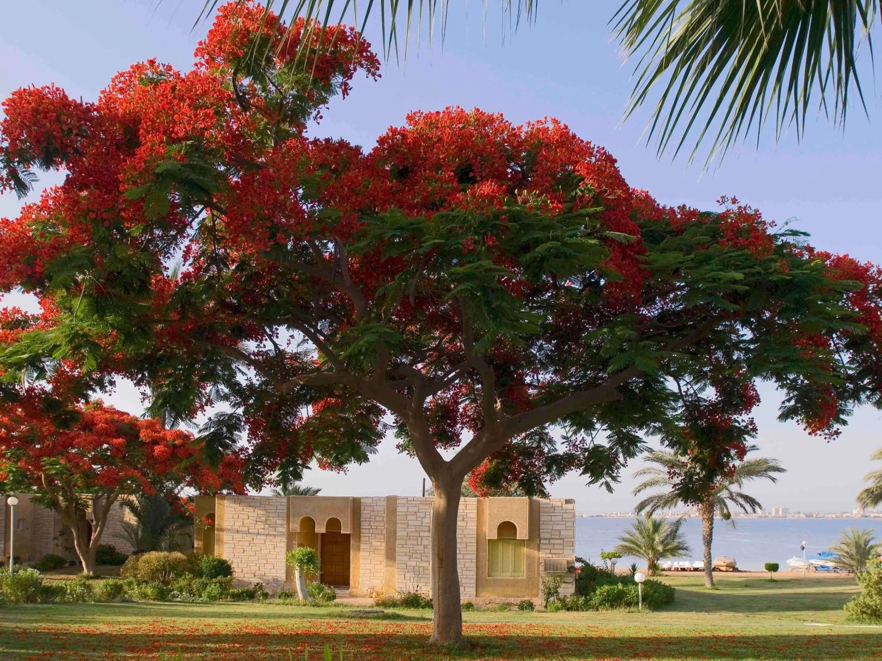 Bedroom in Mercure Ismailia Forsan Island