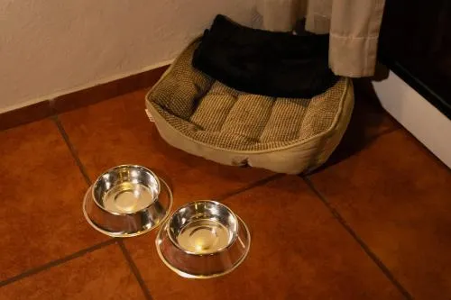 Hotel Misión Grand Valle de Bravo