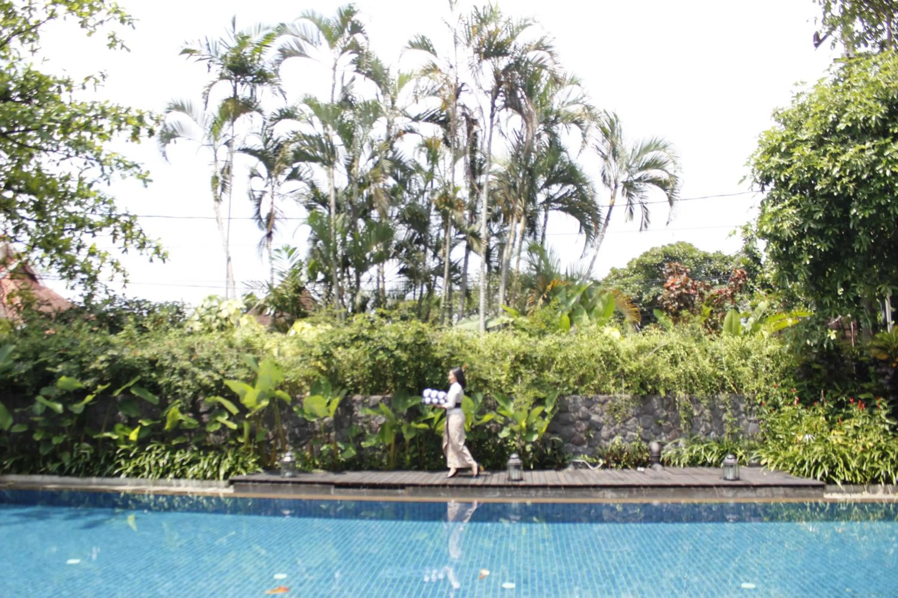 Swimming pool in The Shalimar Boutique Hotel