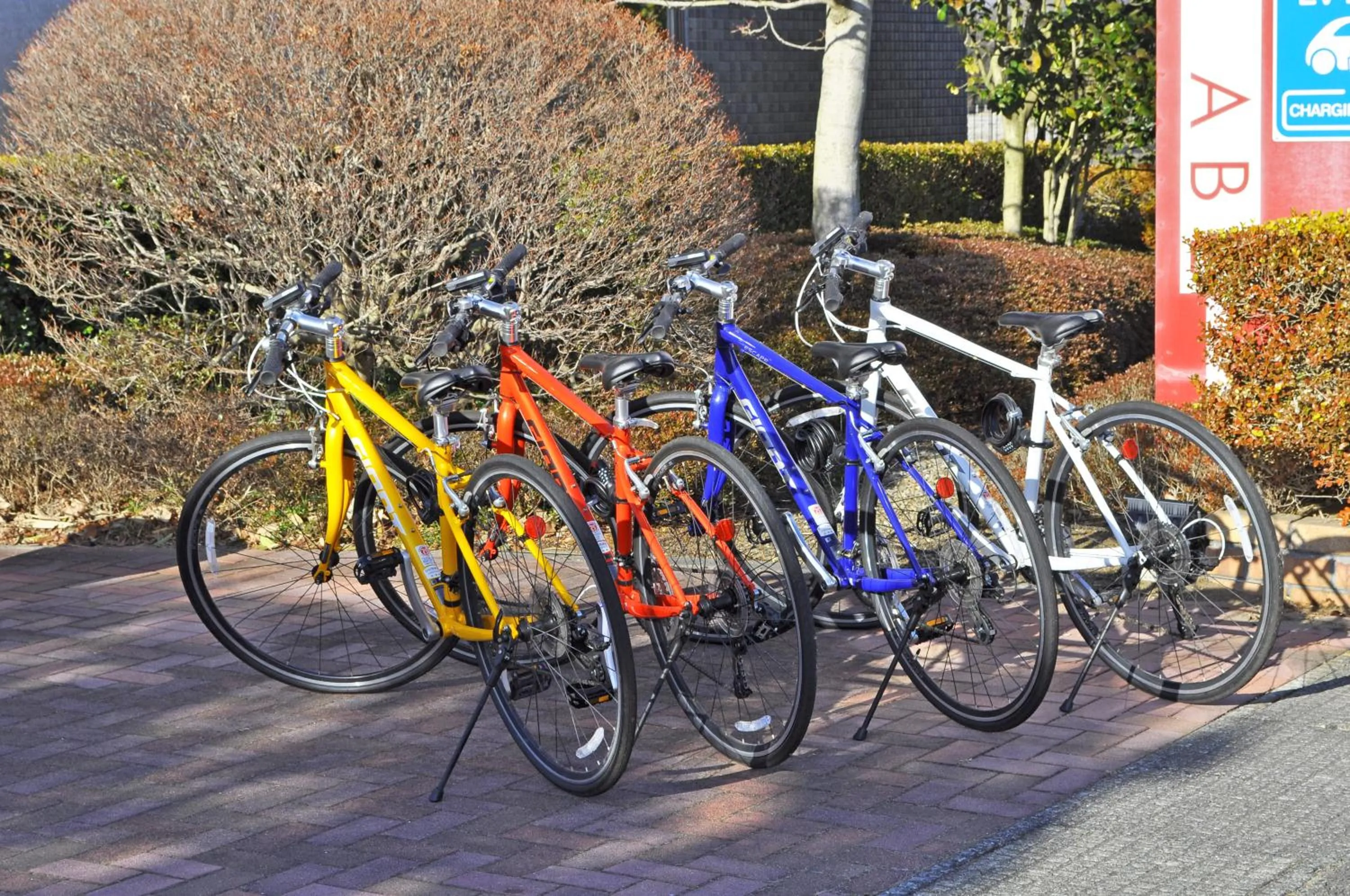 Cycling in Annex Hotel Abe