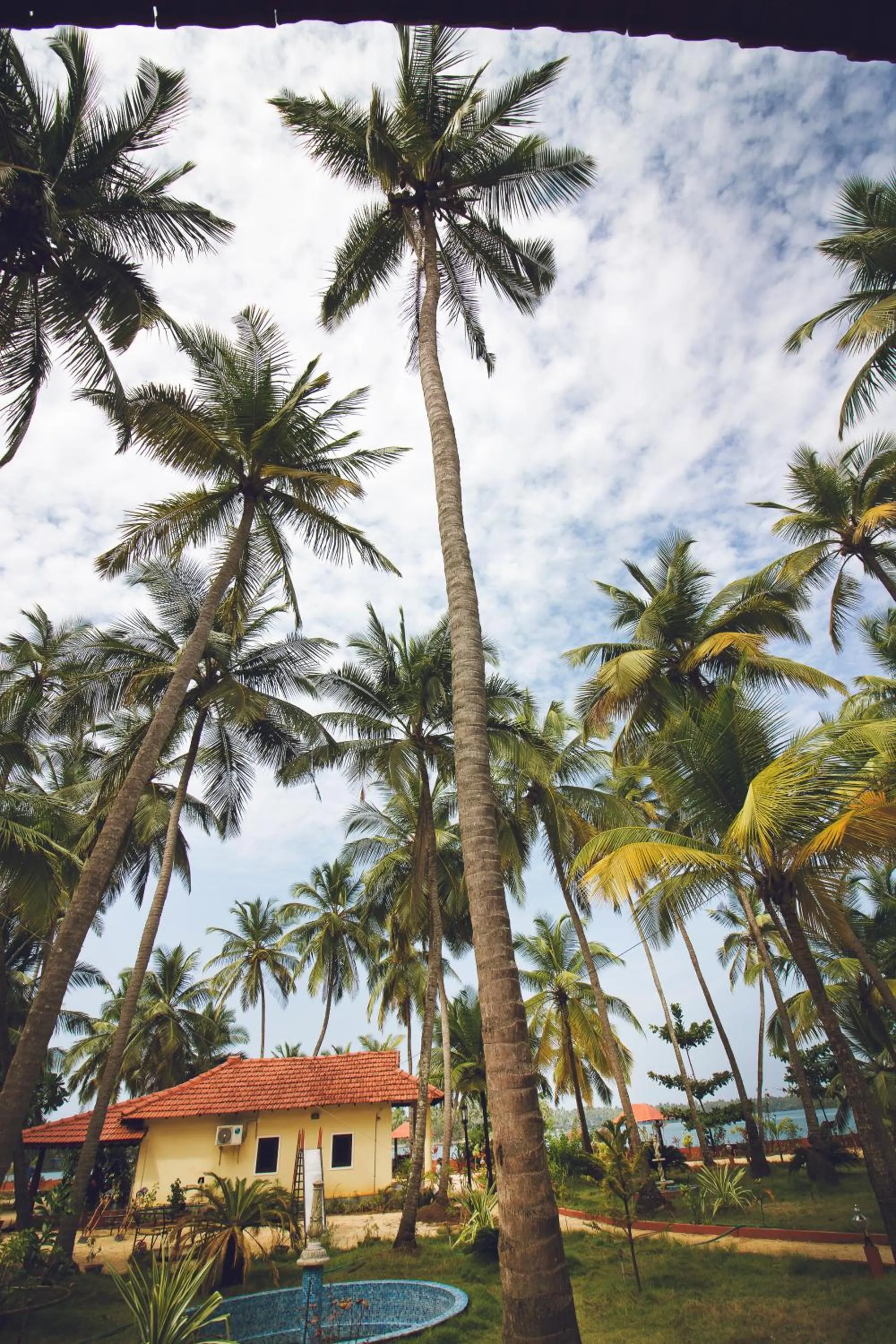 Property building in Paradise Lagoon