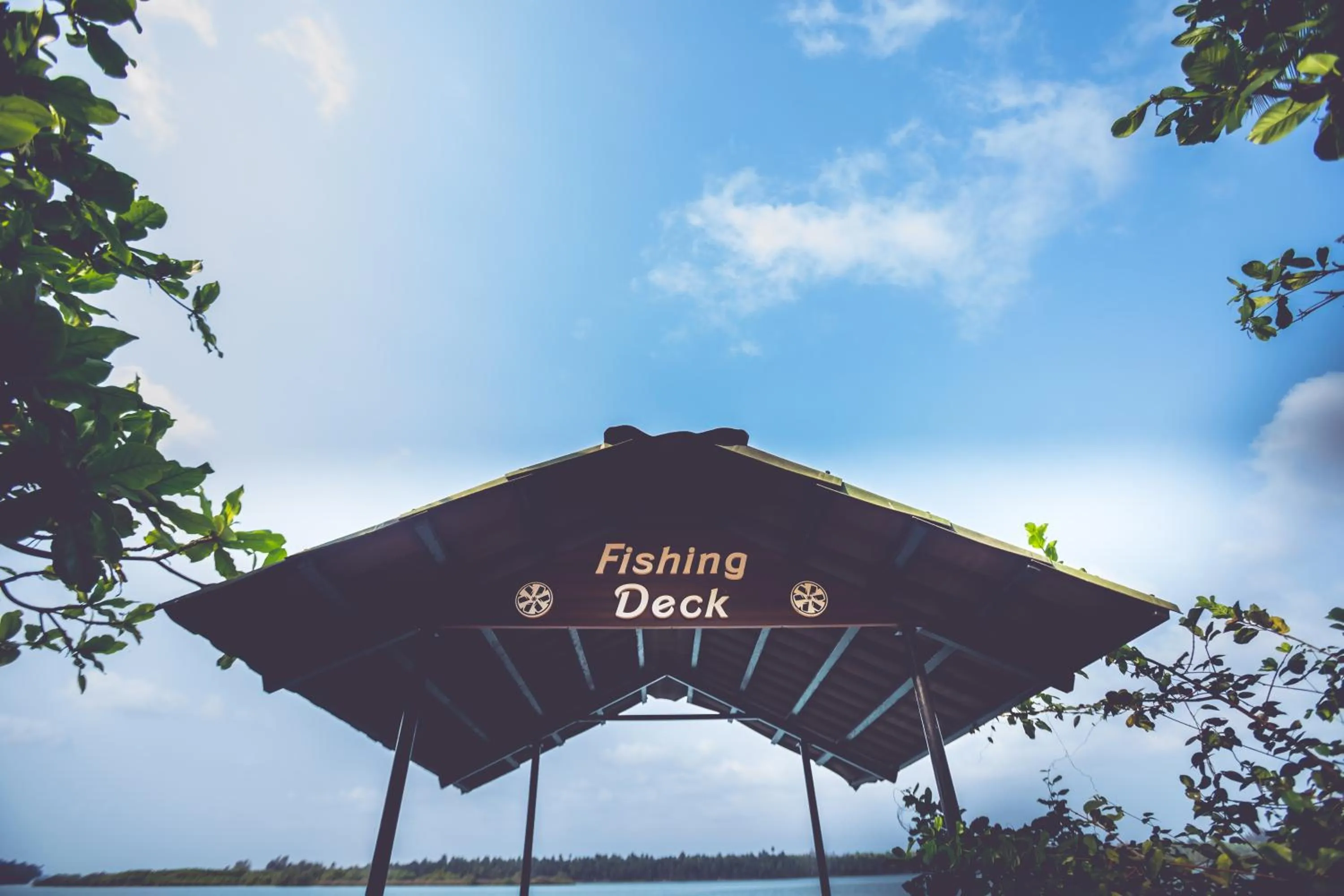 Fishing in Paradise Lagoon