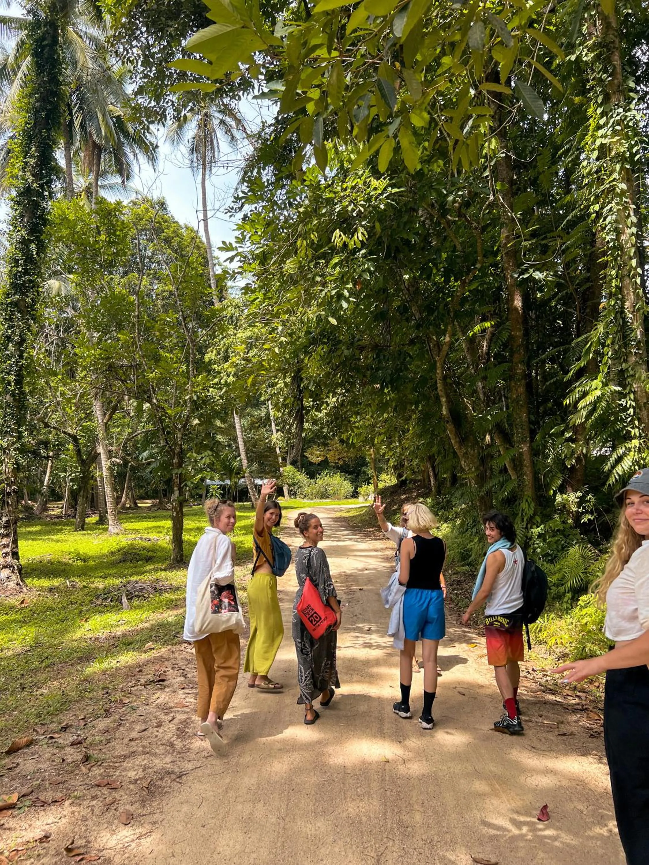Activities in Colorful Hut