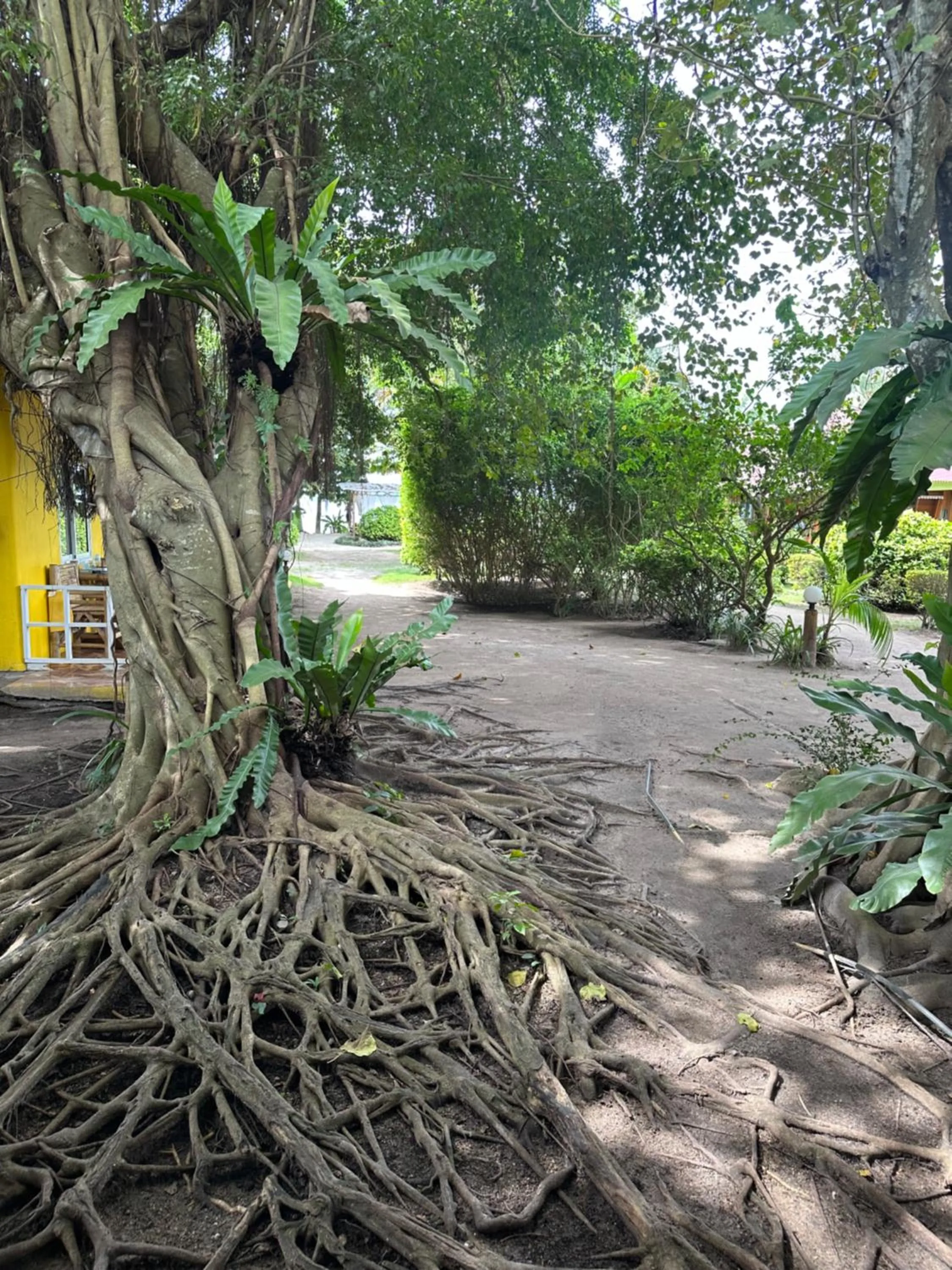 Natural landscape in Colorful Hut