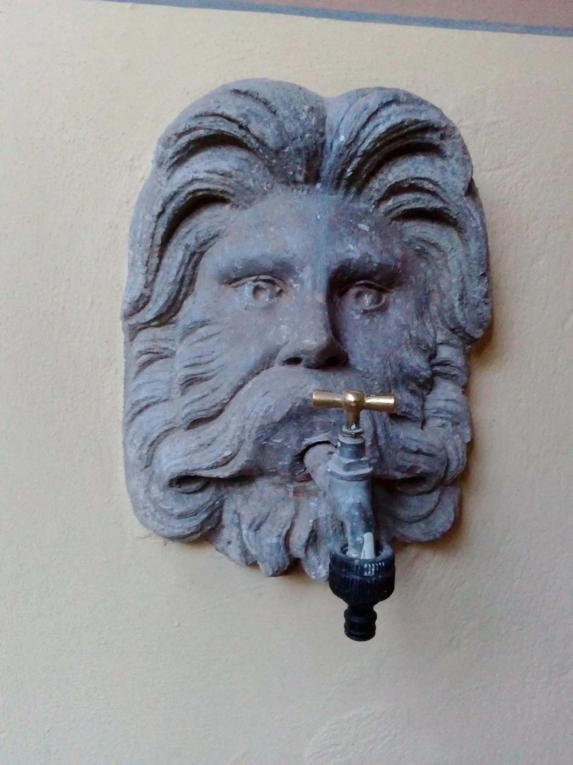 Garden in Casa Lari Stresa